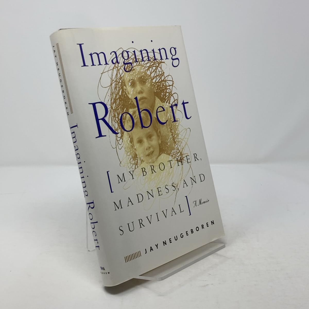 Imagining Robert: My Brother, Madness, and Survival : A Memoir Science