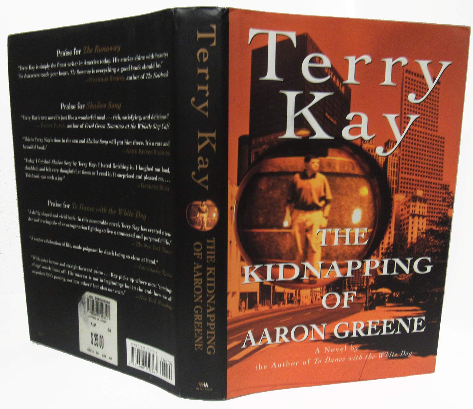 The Kidnapping of Aaron Greene Detective & CSI