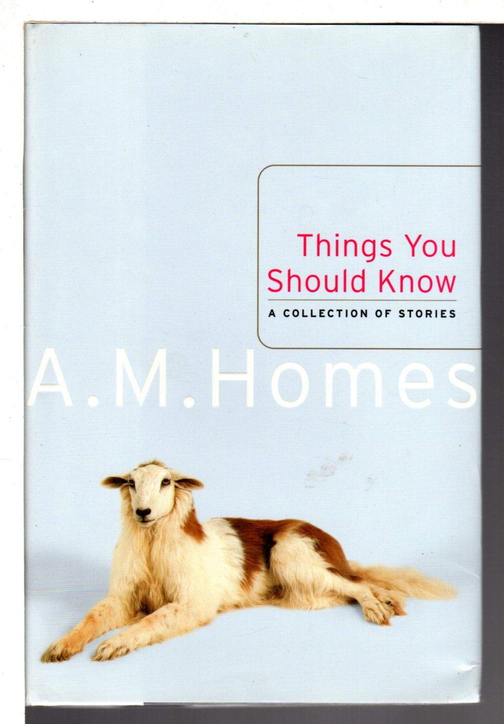 Things You Should Know: A Collection of Stories Contemporary literature