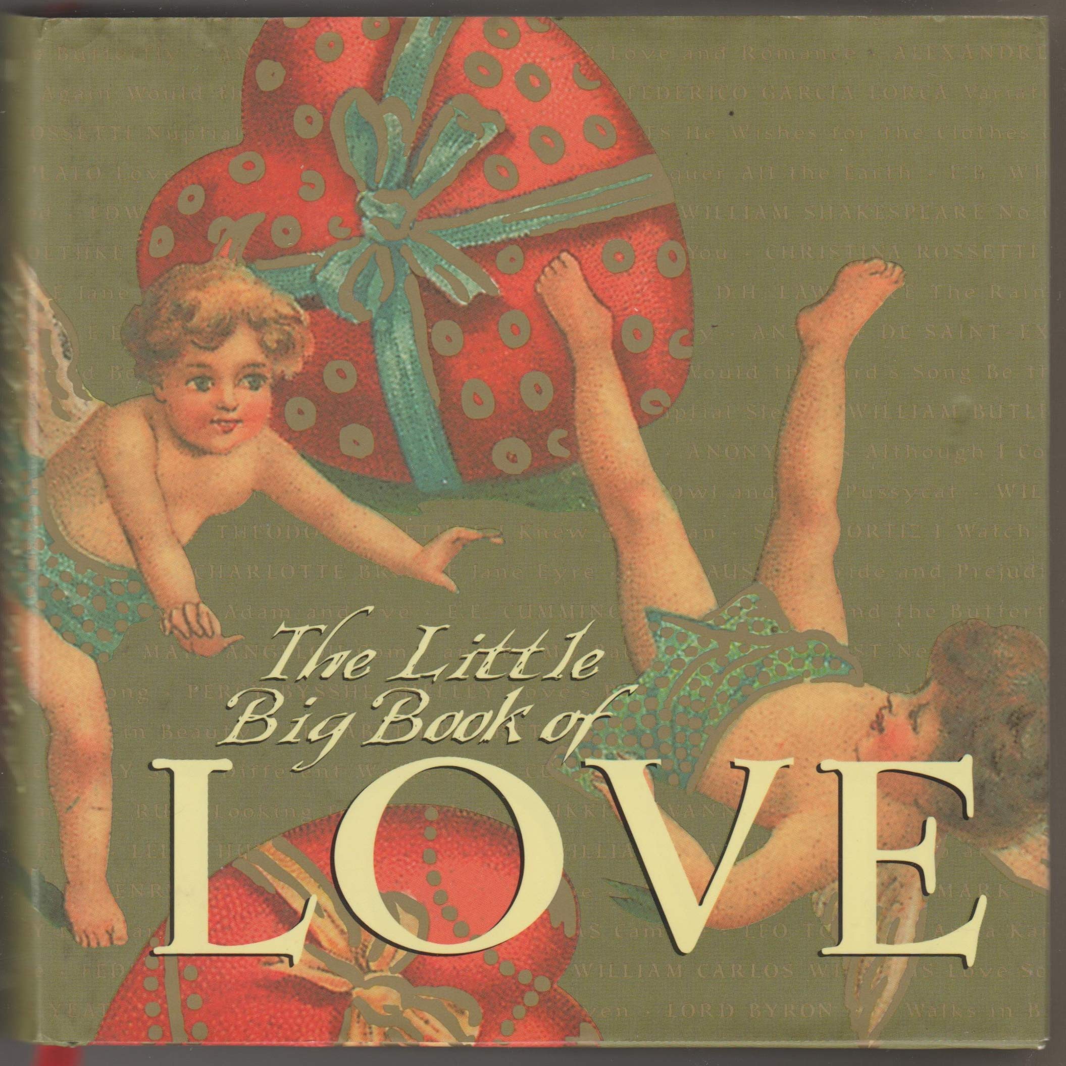 The Little Big Book of Love Contemporary literature