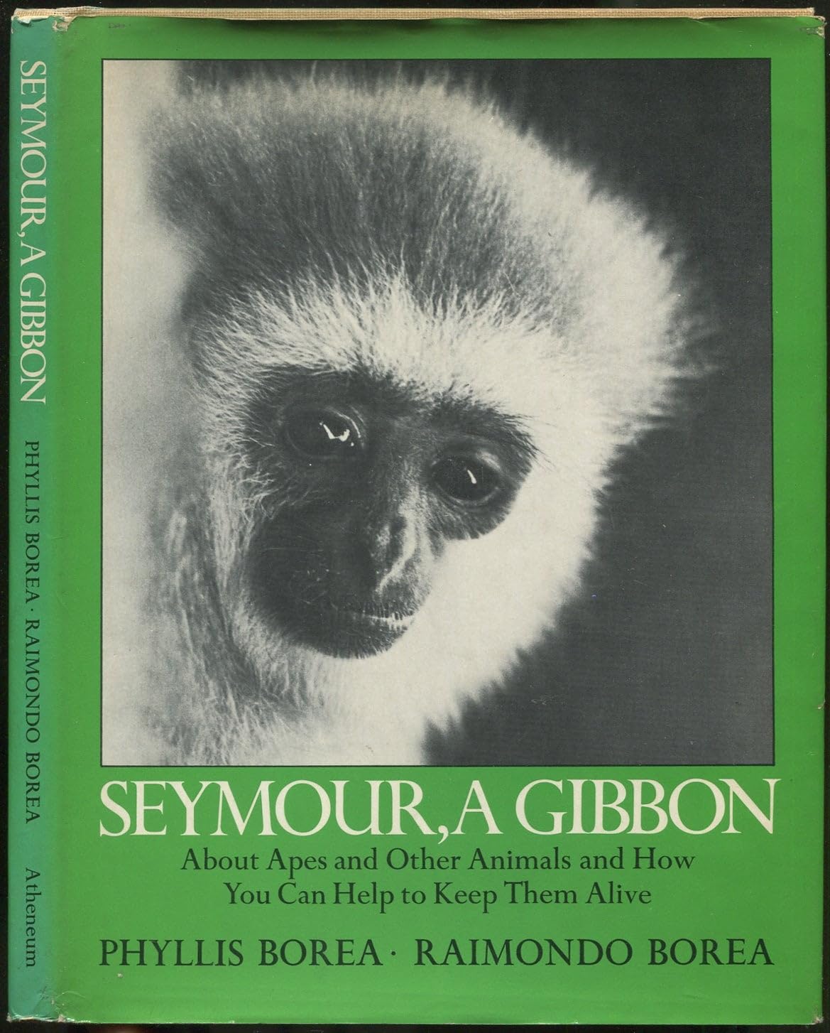 Seymour, a Gibbon : About Apes and Other Animals a Books
