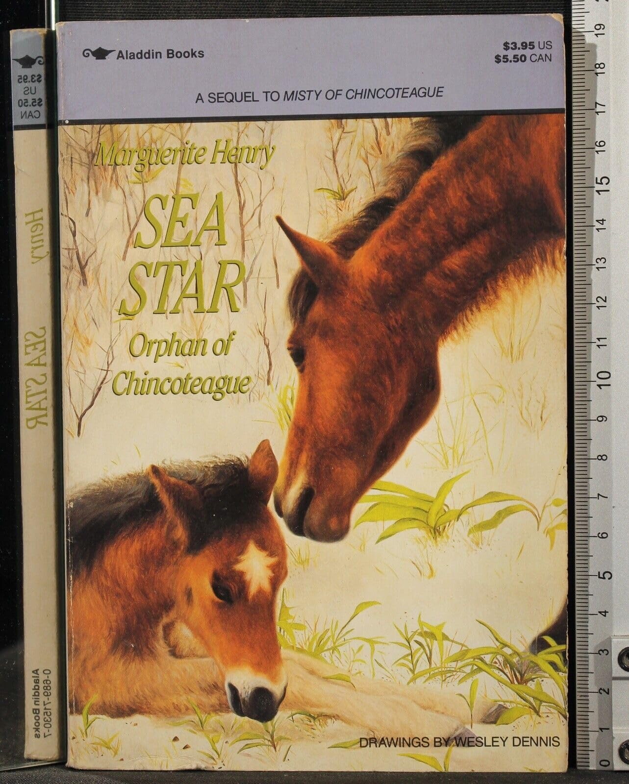 Sea Star: Orphan Of Chincoteague Novels & Short Stories