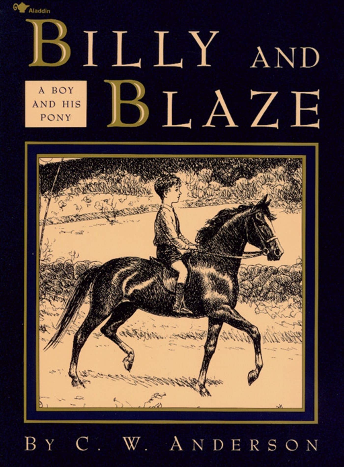 Billy and Blaze: A Boy and His Pony Study Guides