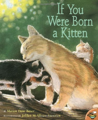 Product Image: If You Were Born A Kitten