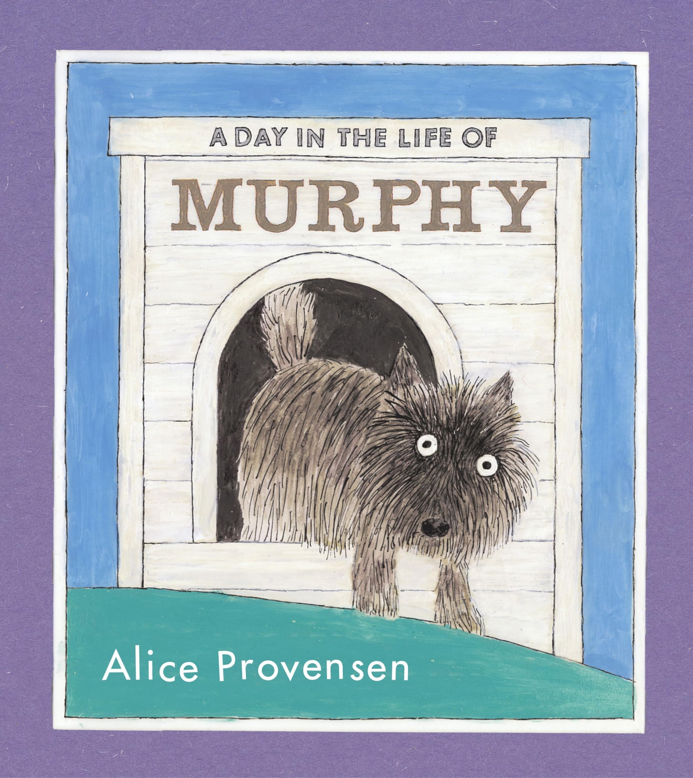 A Day in the Life of Murphy Non-fiction