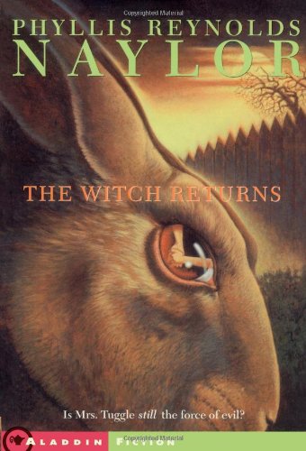 Product Image: The Witch Returns (Witch Saga)