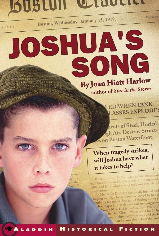 Joshua's Song Non-fiction