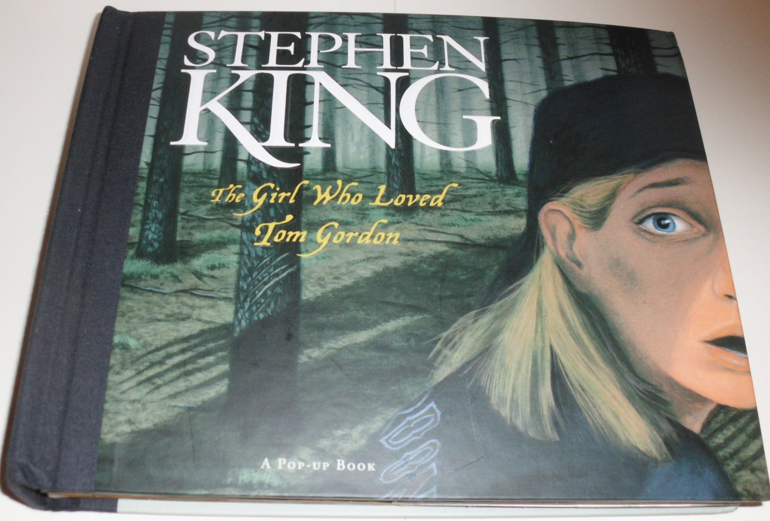 The Girl Who Loved Tom Gordon: A Pop-up Book Contemporary literature
