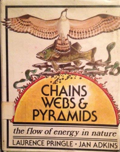 Chains, Webs, and Pyramids: The Flow of Energy in Nature Business & Technology