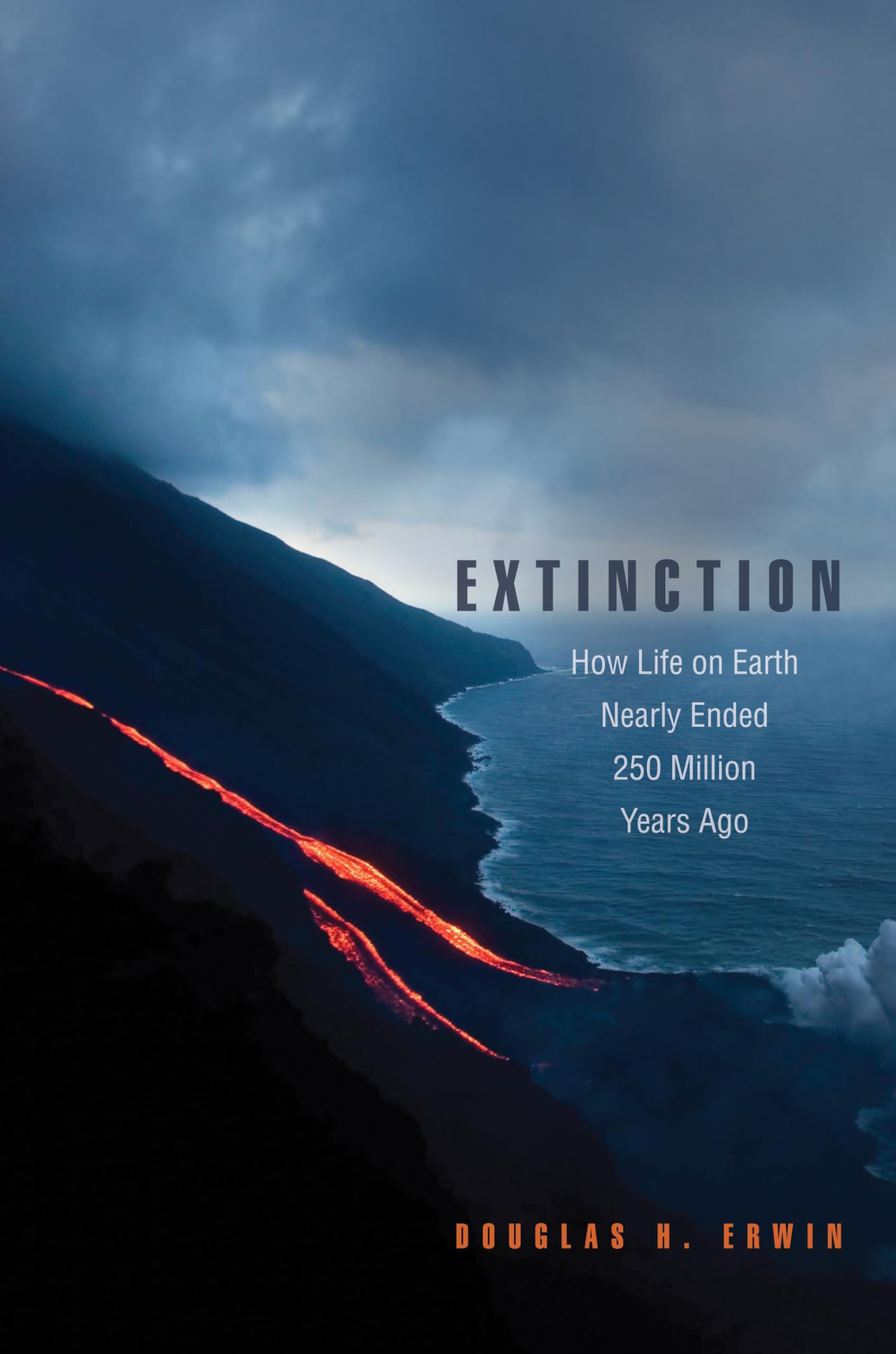 Extinction: How Life on Earth Nearly Ended 250 Million Years Ago Business & Technology