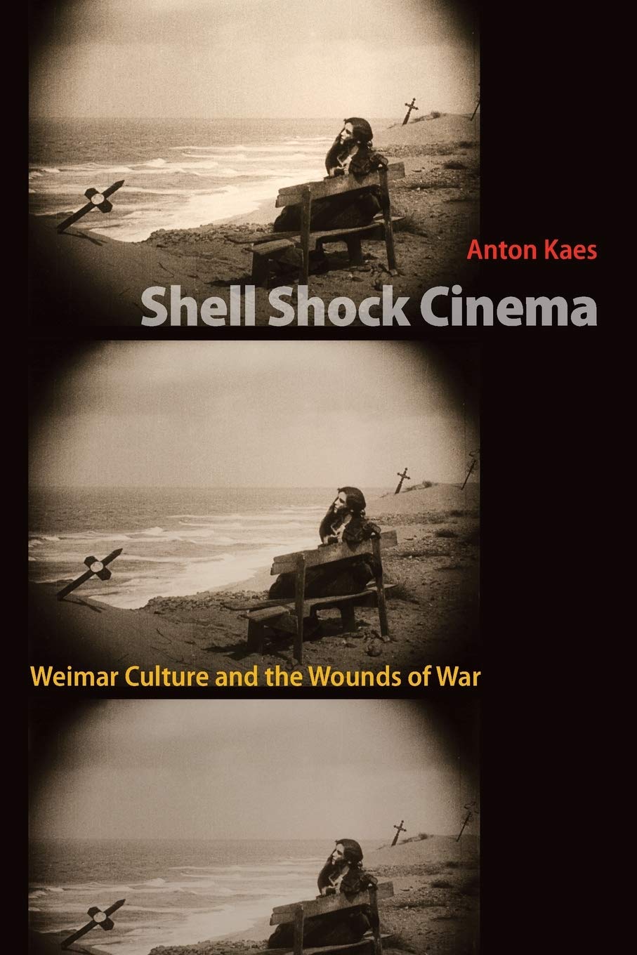 Shell Shock Cinema: Weimar Culture and the Wounds of War Social Sciences