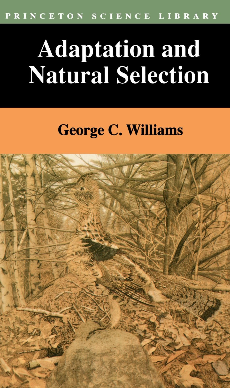 Adaptation and Natural Selection: A Critique of Some Current Evolutionary Thought (Princeton Science Library) Natural Sciences