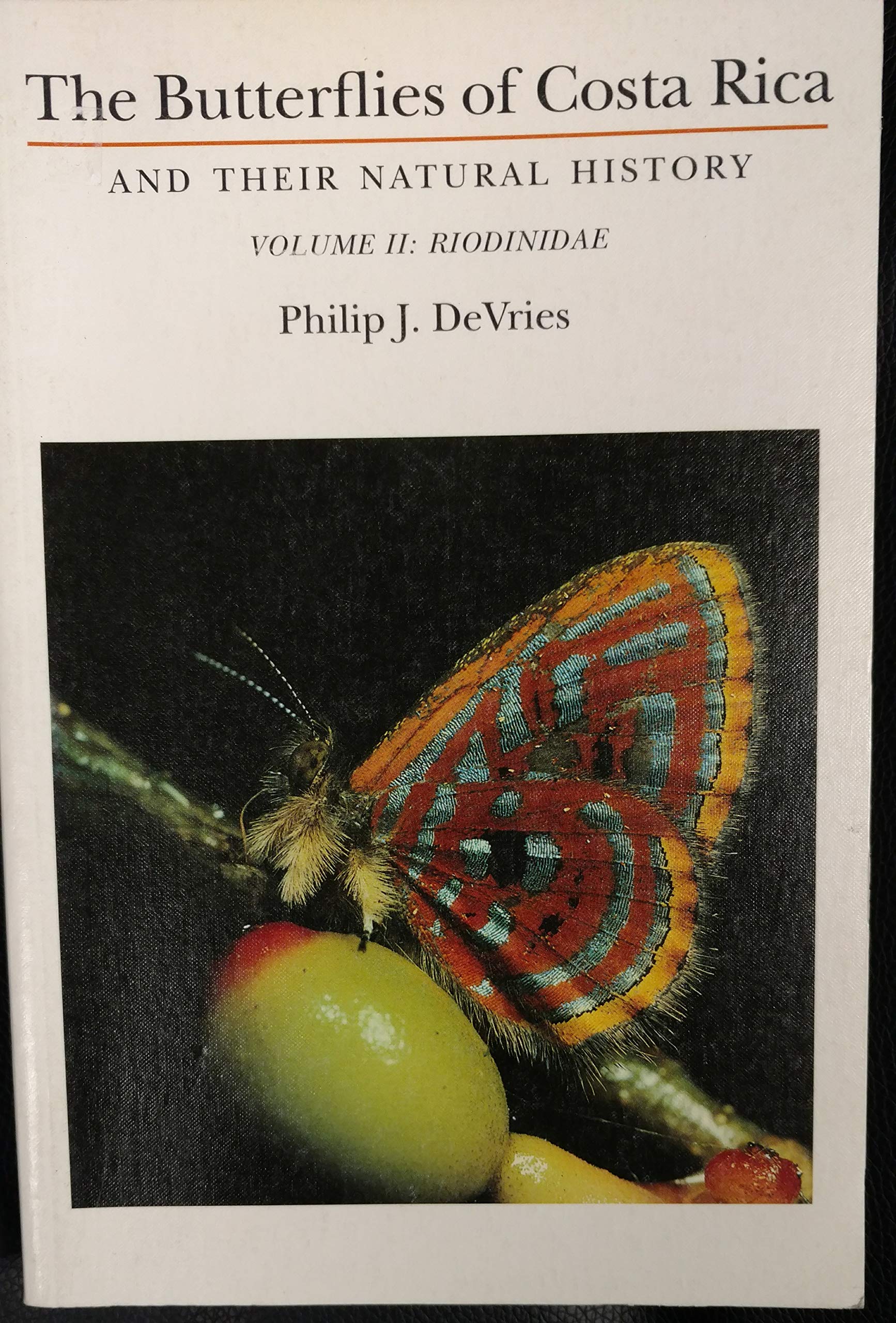 The Butterflies of Costa Rica and Their Natural History: Riodinidae book