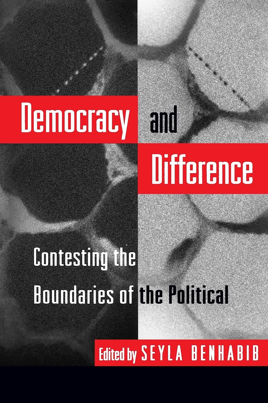 Democracy and Difference: Contesting the Boundaries of the Political book