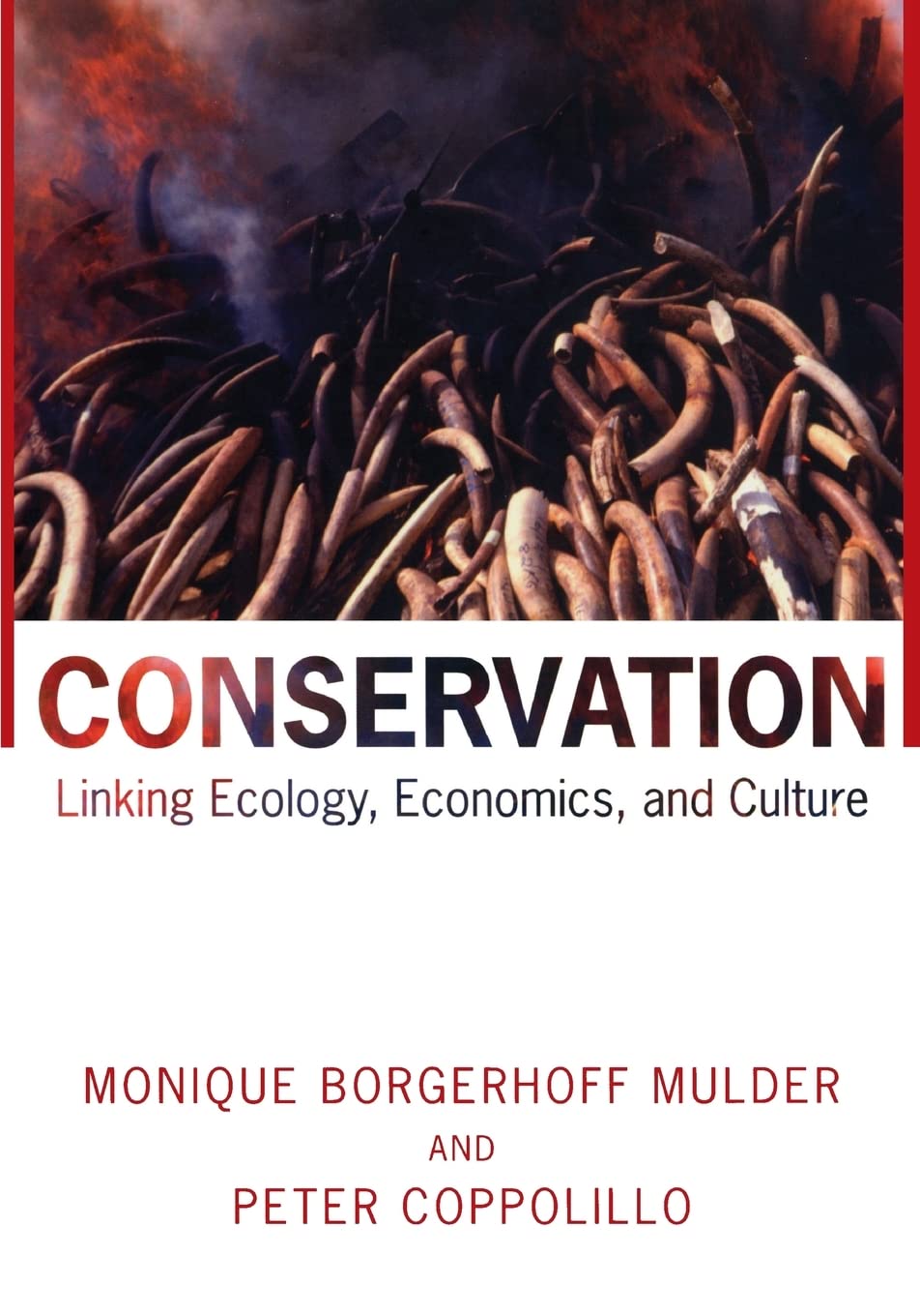 Conservation: Linking Ecology, Economics, and Culture Business, Finance & Career