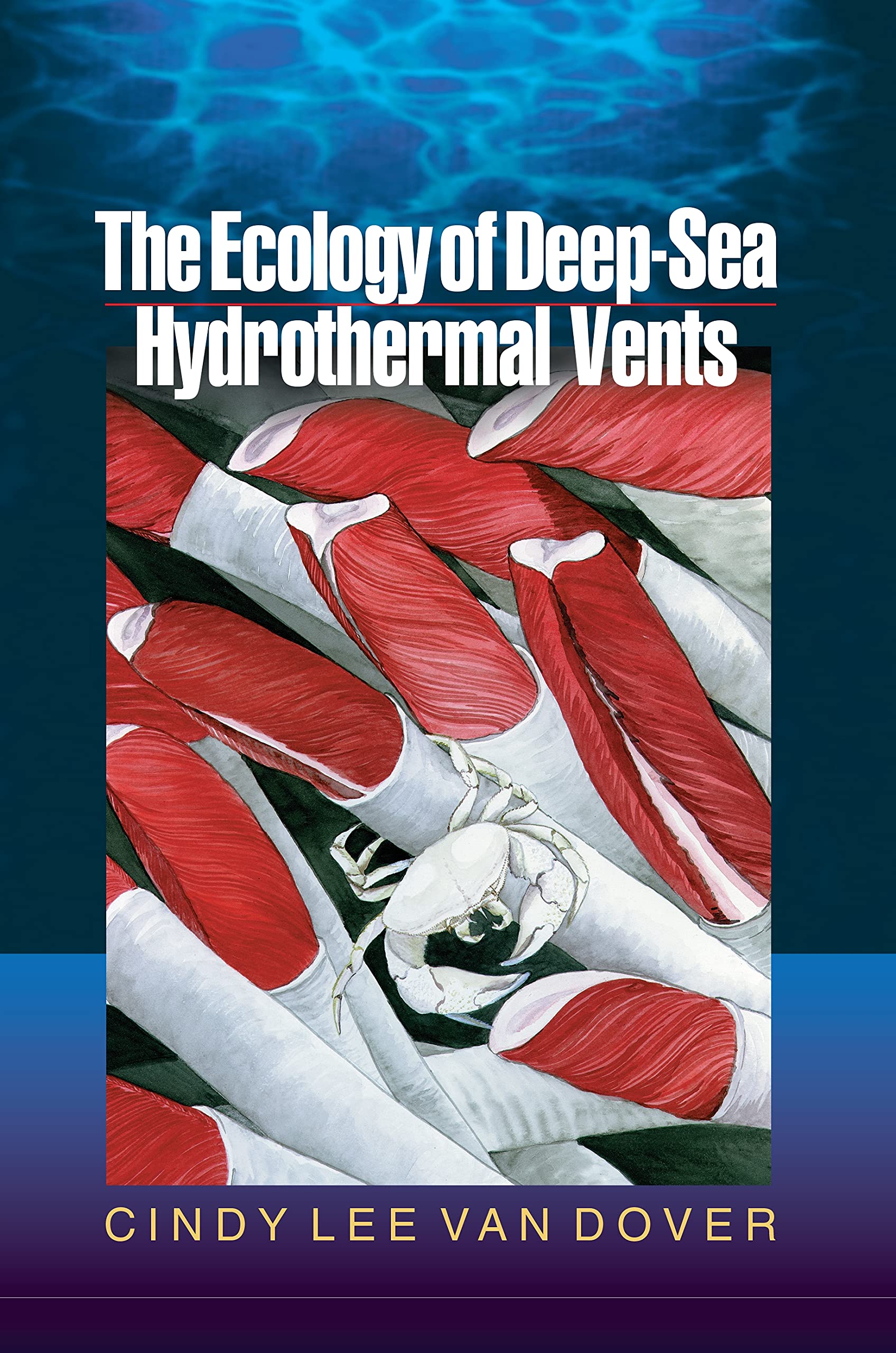 The Ecology of Deep-Sea Hydrothermal Vents Geology & Geography
