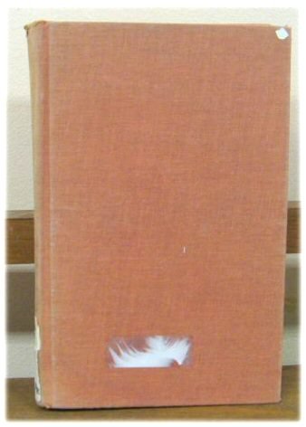 Story, Myth, and Celebration in Old French Narrative Poetry, 1050-1200 (Princeton Legacy Library) Poetry