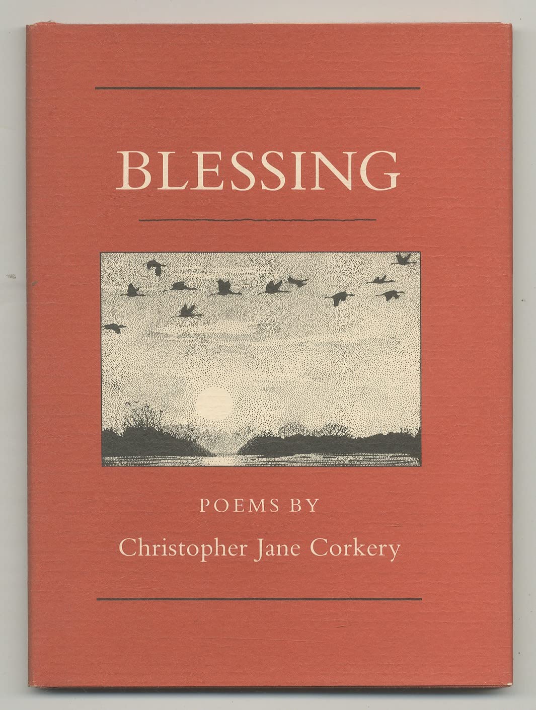 Blessing (Princeton Series of Contemporary Poets) Poetry