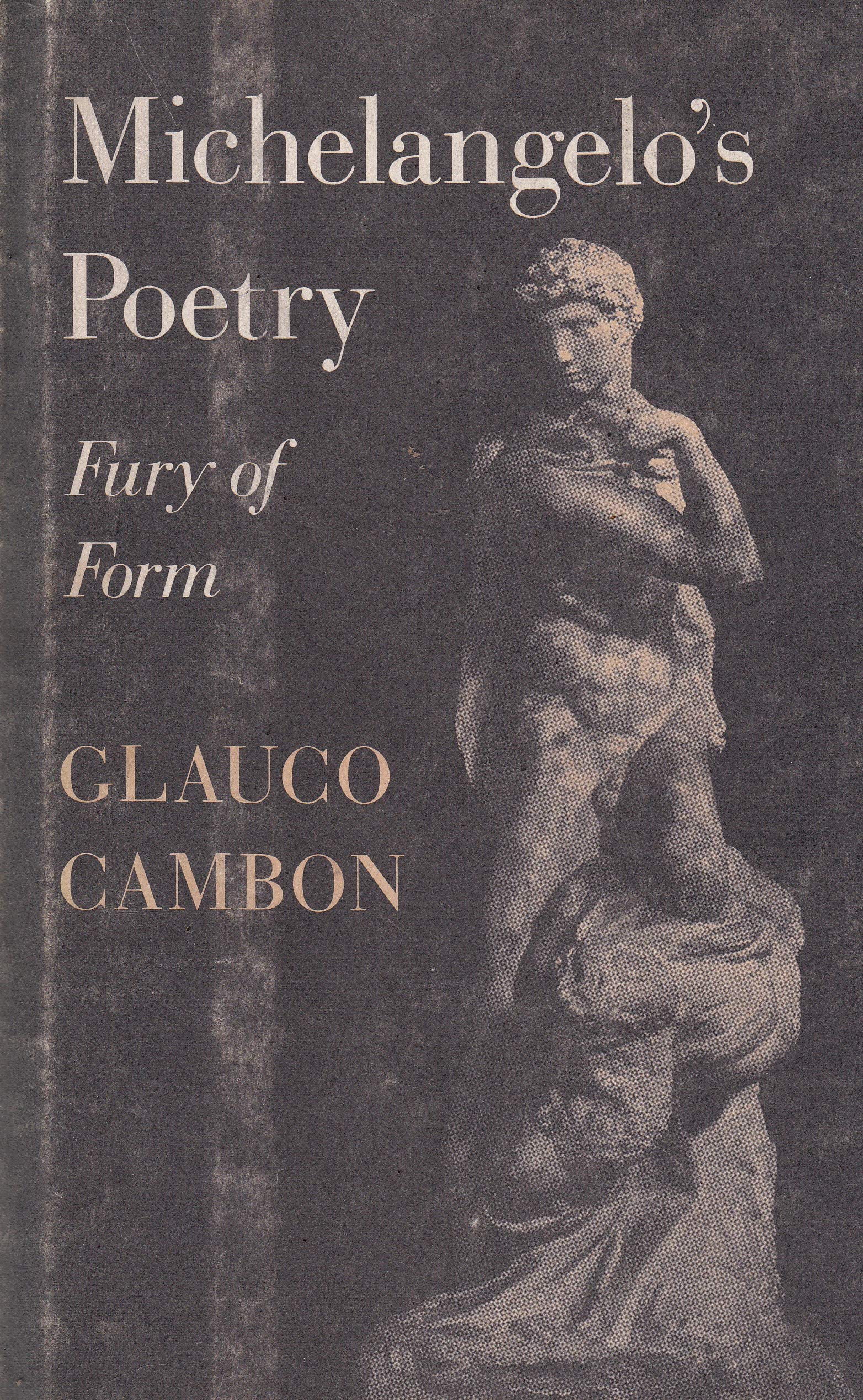 Michelangelo's Poetry: Fury of Form (Princeton Legacy Library) Poetry