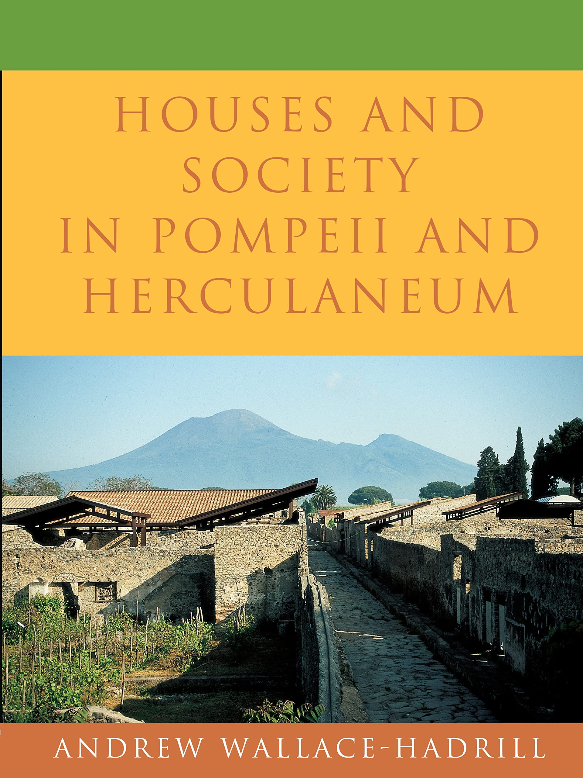 Houses and Society in Pompeii and Herculaneum Social Sciences