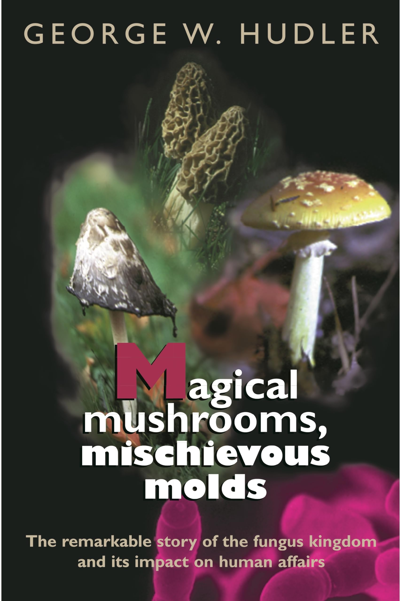Magical Mushrooms, Mischievous Molds (Princeton Paperbacks) Mathematics