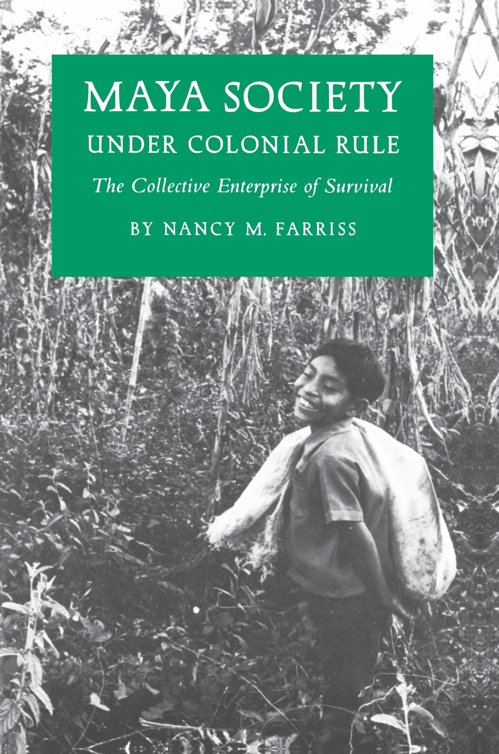 Maya Society under Colonial Rule book