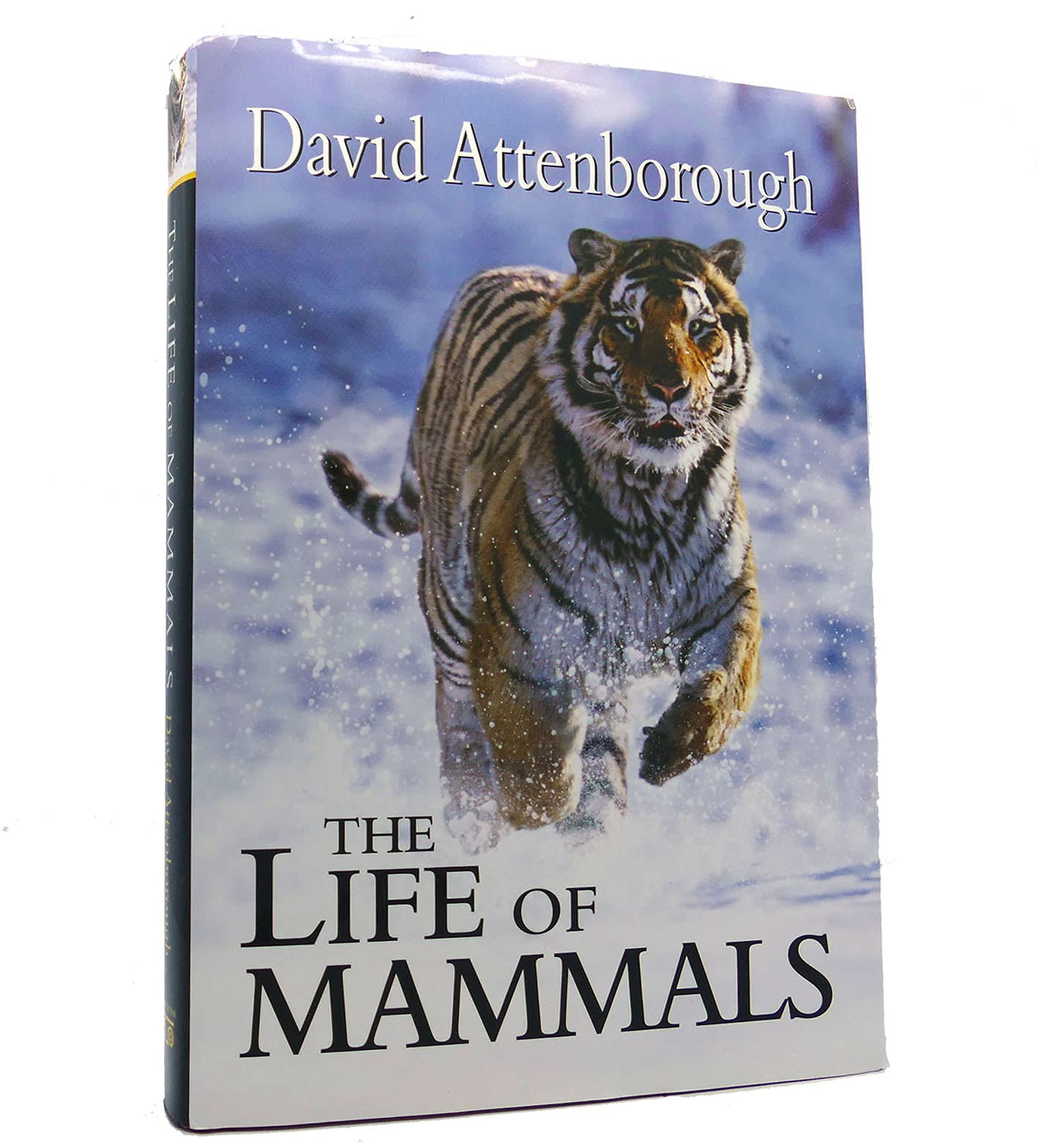 The Life of Mammals Leisure, Home & Garden