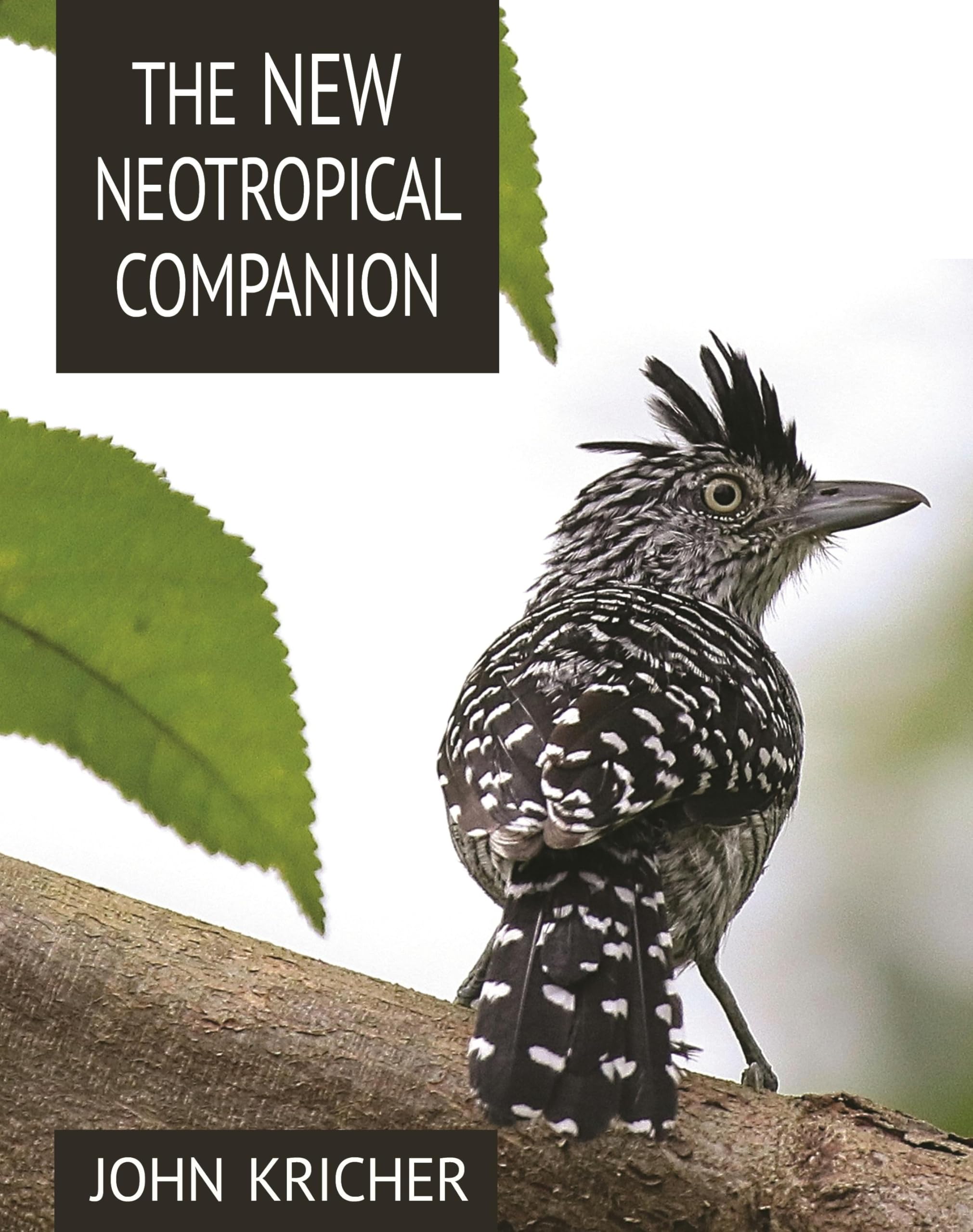 The New Neotropical Companion Geology & Geography