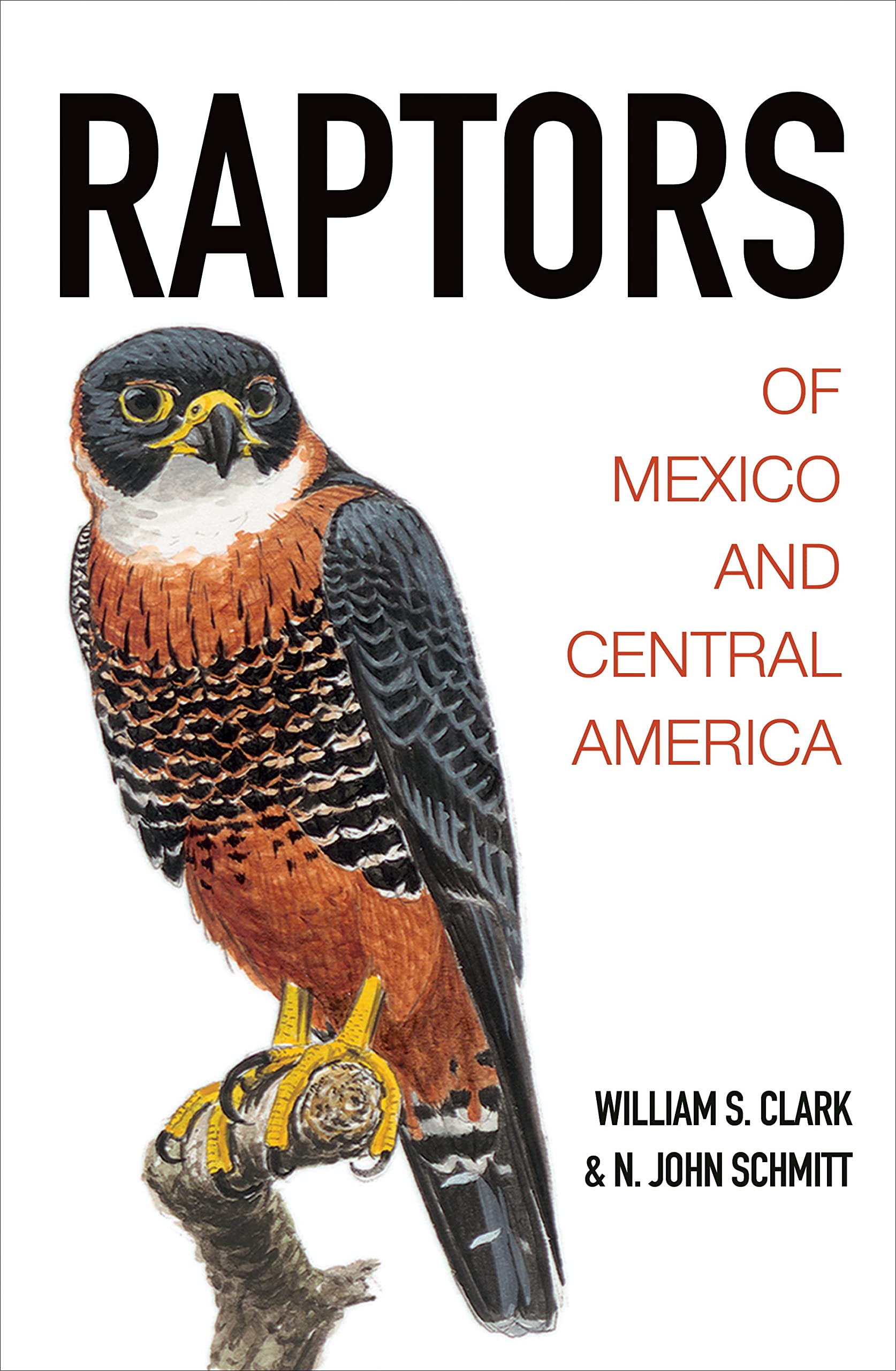 Raptors of Mexico and Central America Geology & Geography