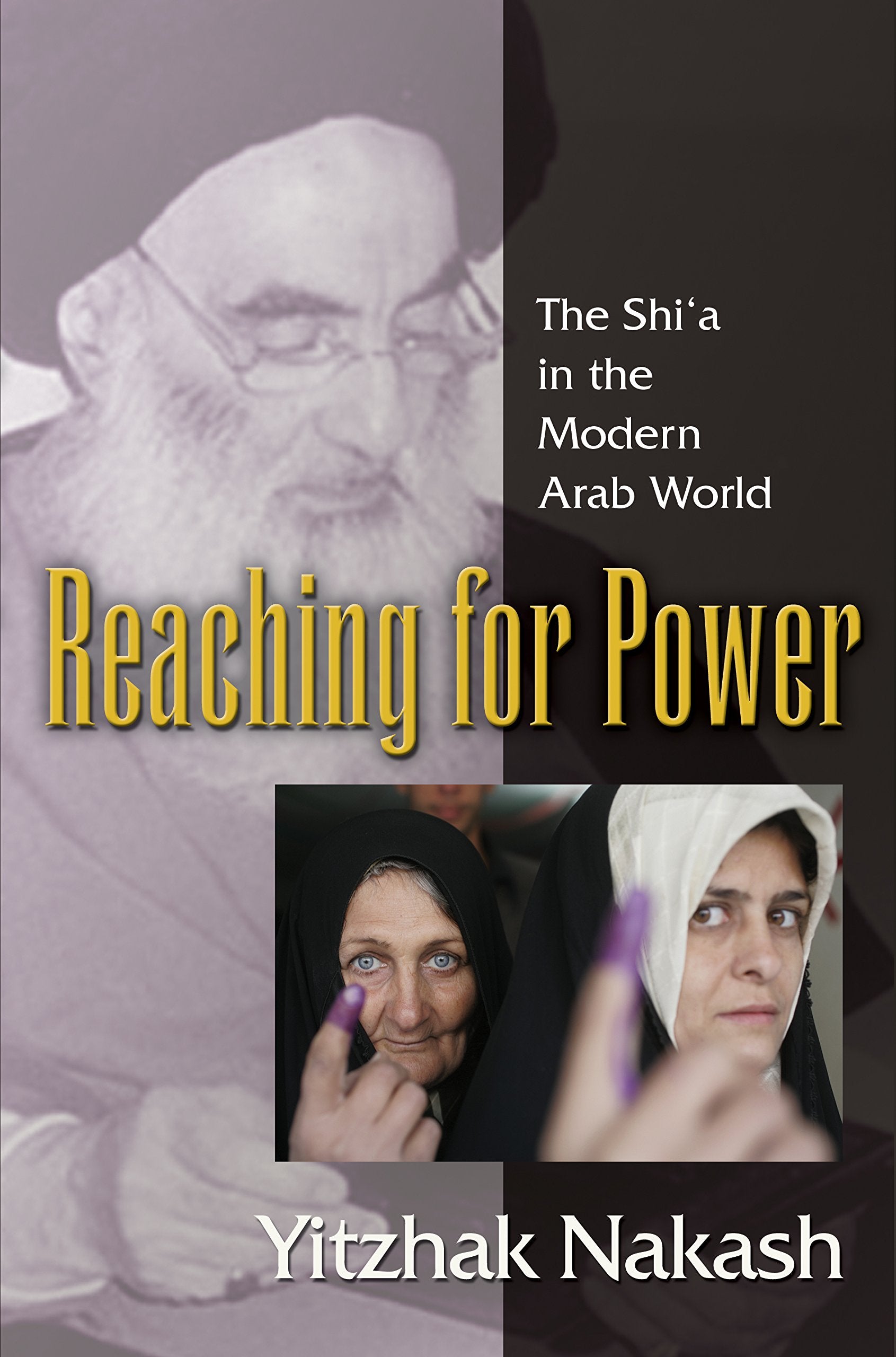 Reaching for Power: The Shi'a in the Modern Arab World book