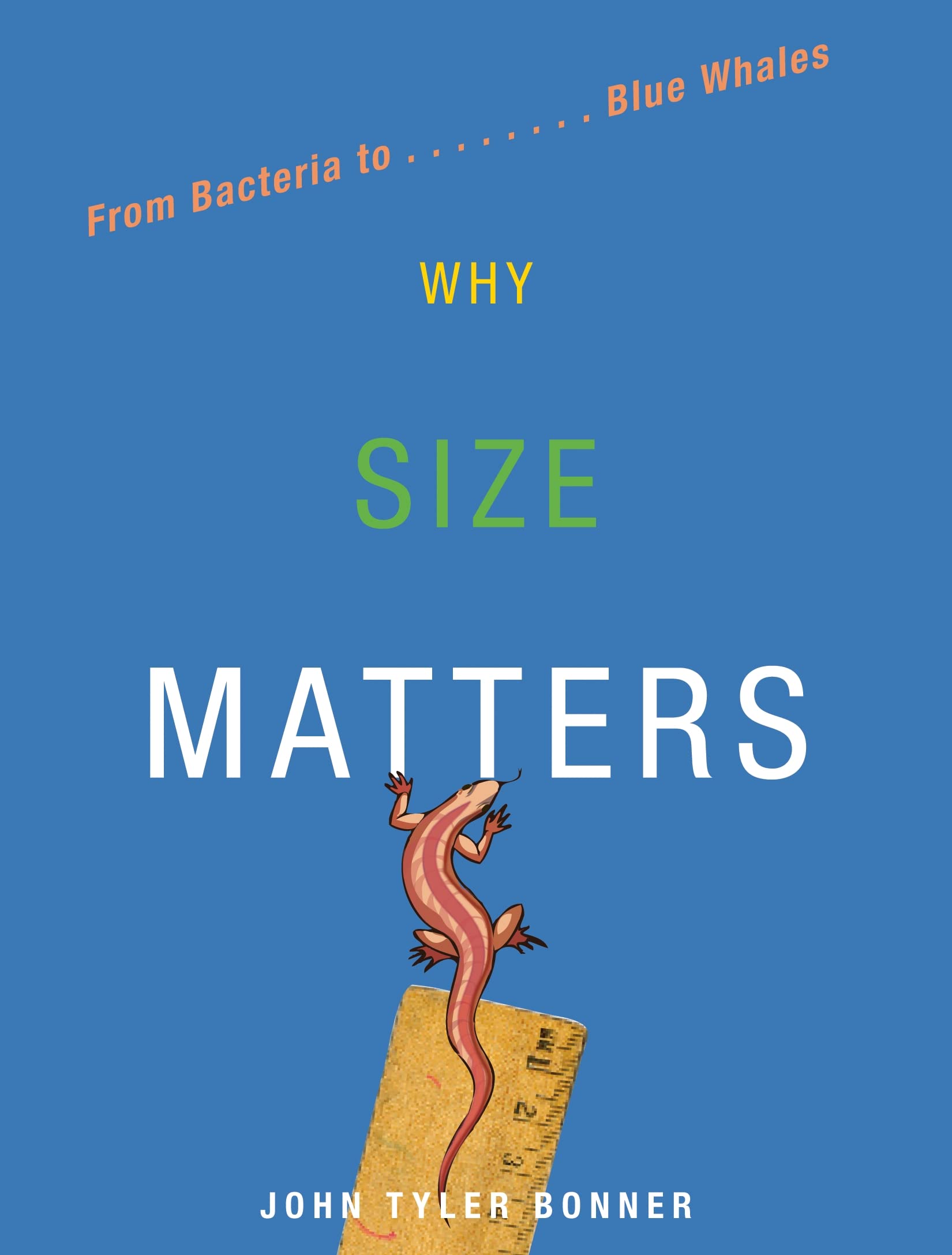Why Size Matters: From Bacteria to Blue Whales Natural Sciences