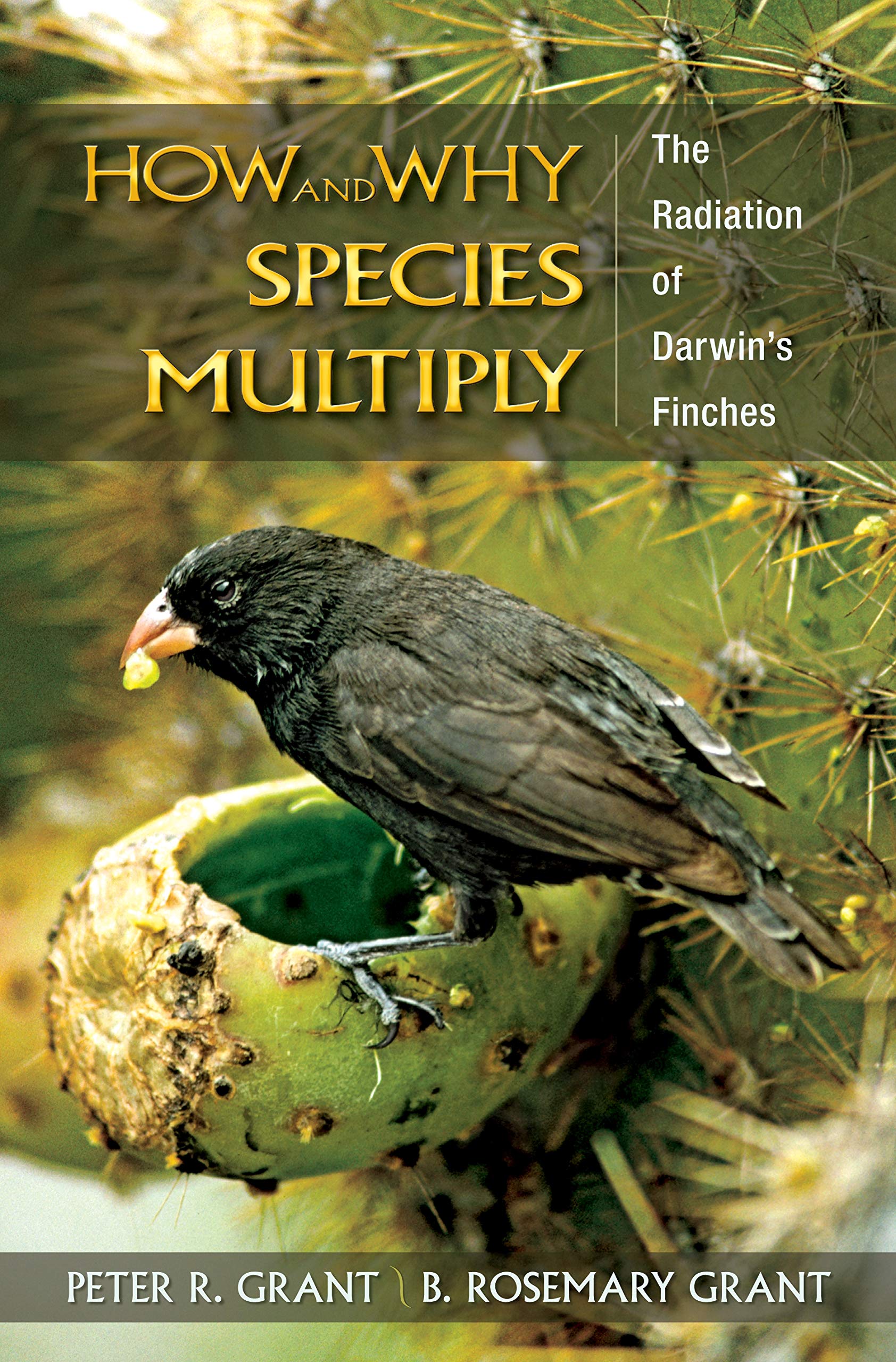 How & Why Species Multiply: The Radiation of Darwin's Finches (Princeton Series in Evolutionary Biology) Business & Technology