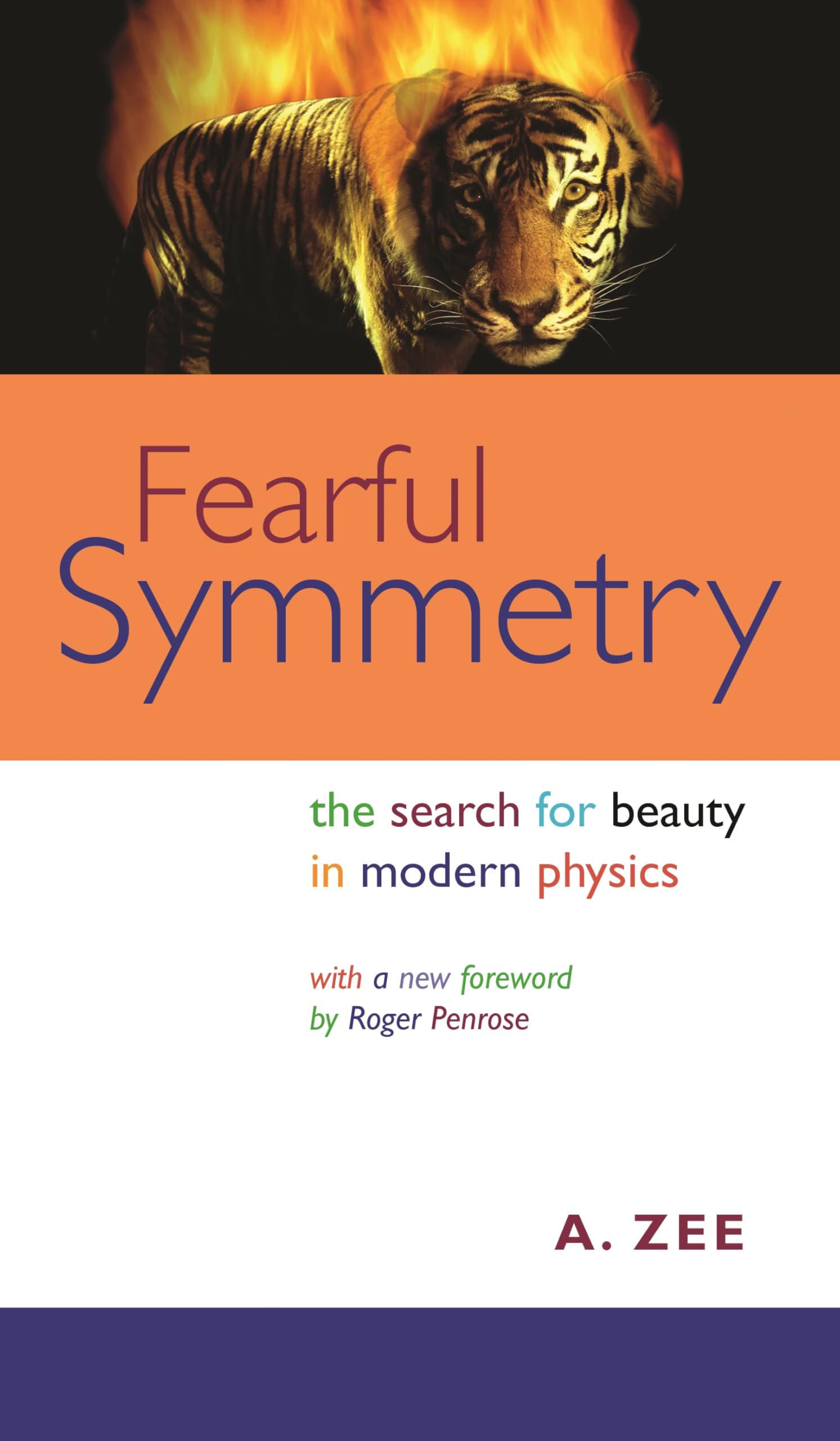 Fearful Symmetry: The Search for Beauty in Modern Physics (Princeton Science Library) Philosophy