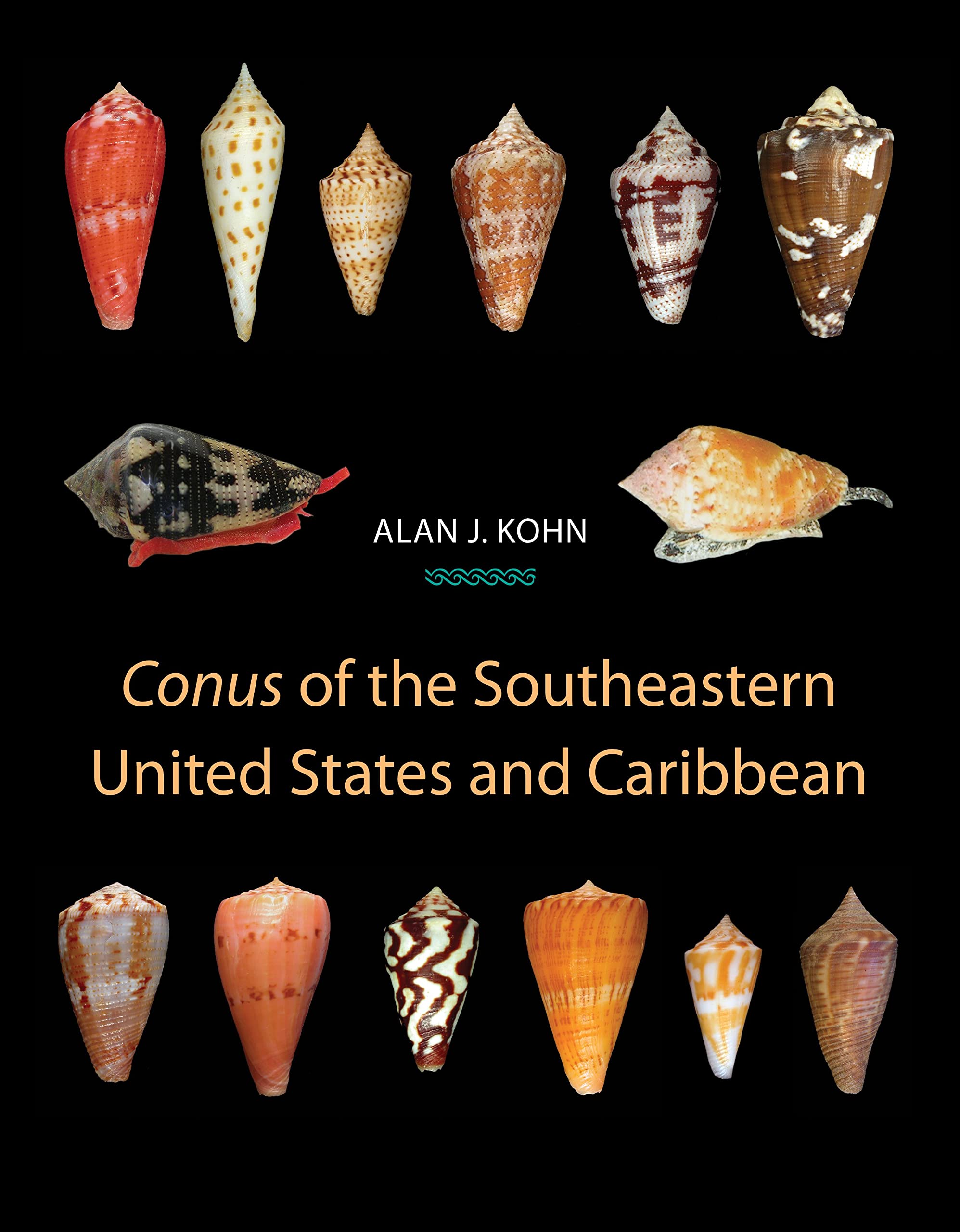 Conus of the Southeastern United States and Caribbean book