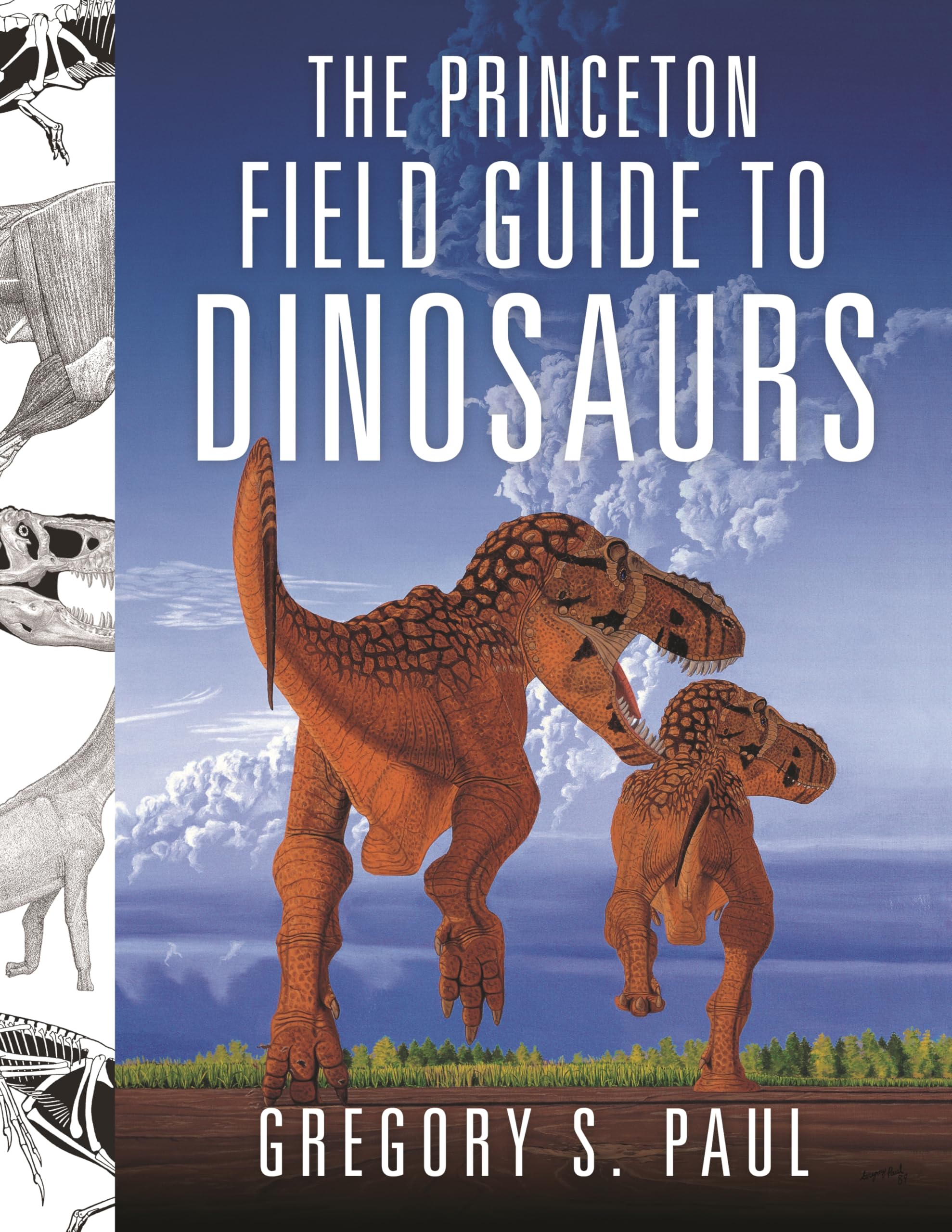 The Princeton Field Guide to Dinosaurs (Princeton Field Guides) Mathematics Books