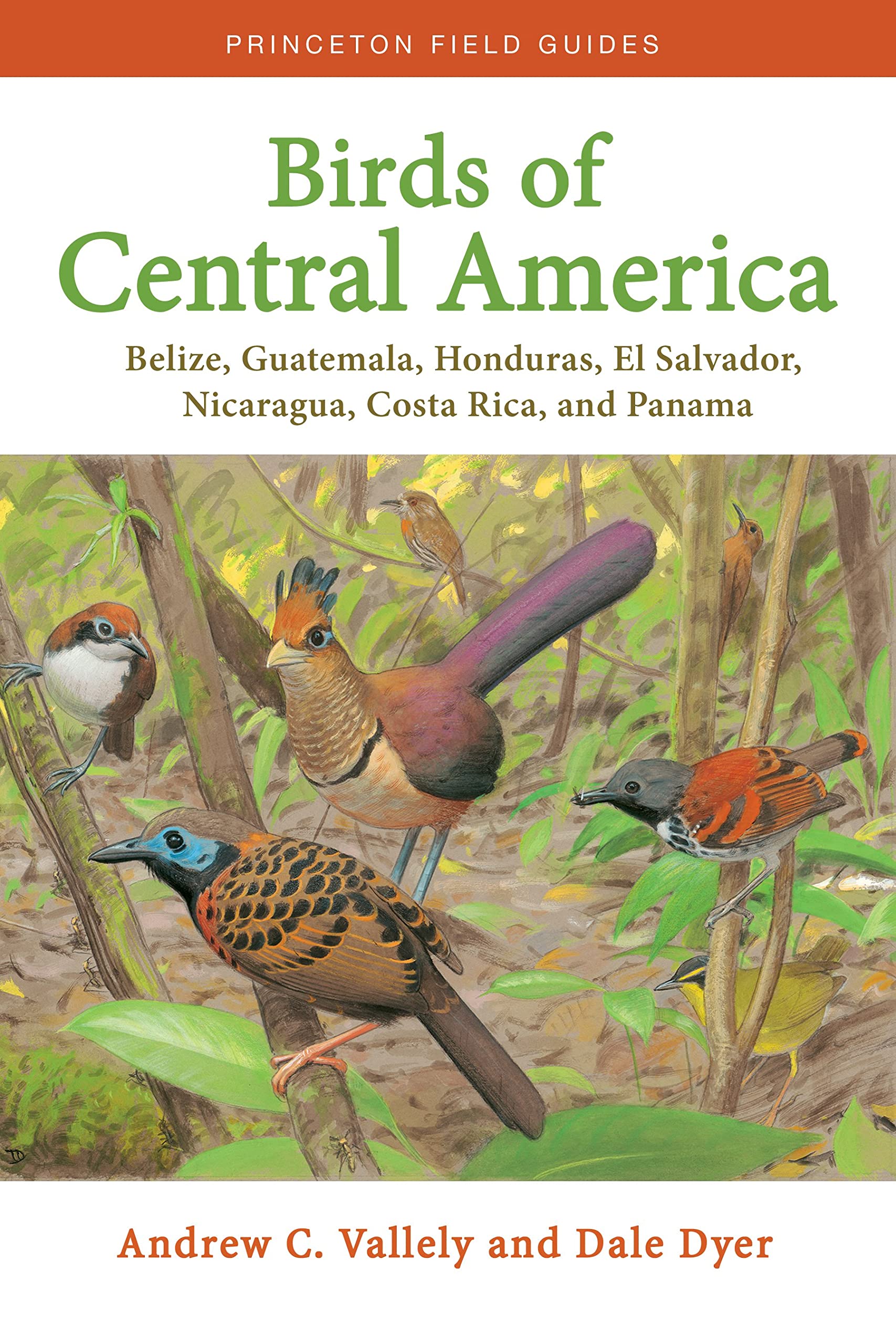 Birds of Central America: Belize, Guatemala, Honduras, El Salvador, Nicaragua, Costa Rica, and Panama (Princeton Field Guides) Mathematics