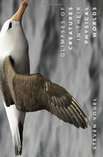 Glimpses of Creatures in Their Physical Worlds Mathematics