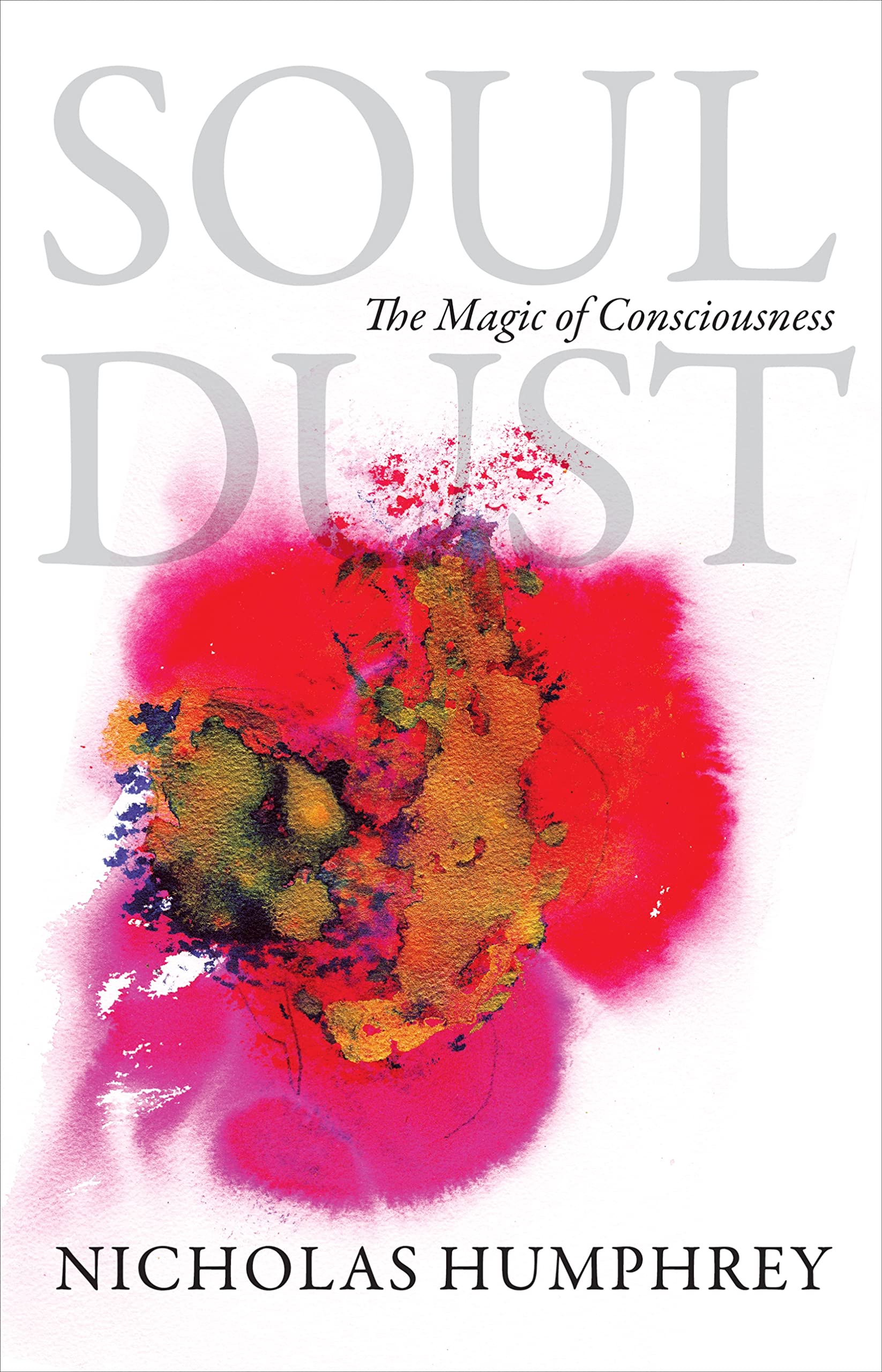 Soul Dust: The Magic of Consciousness Philosophy