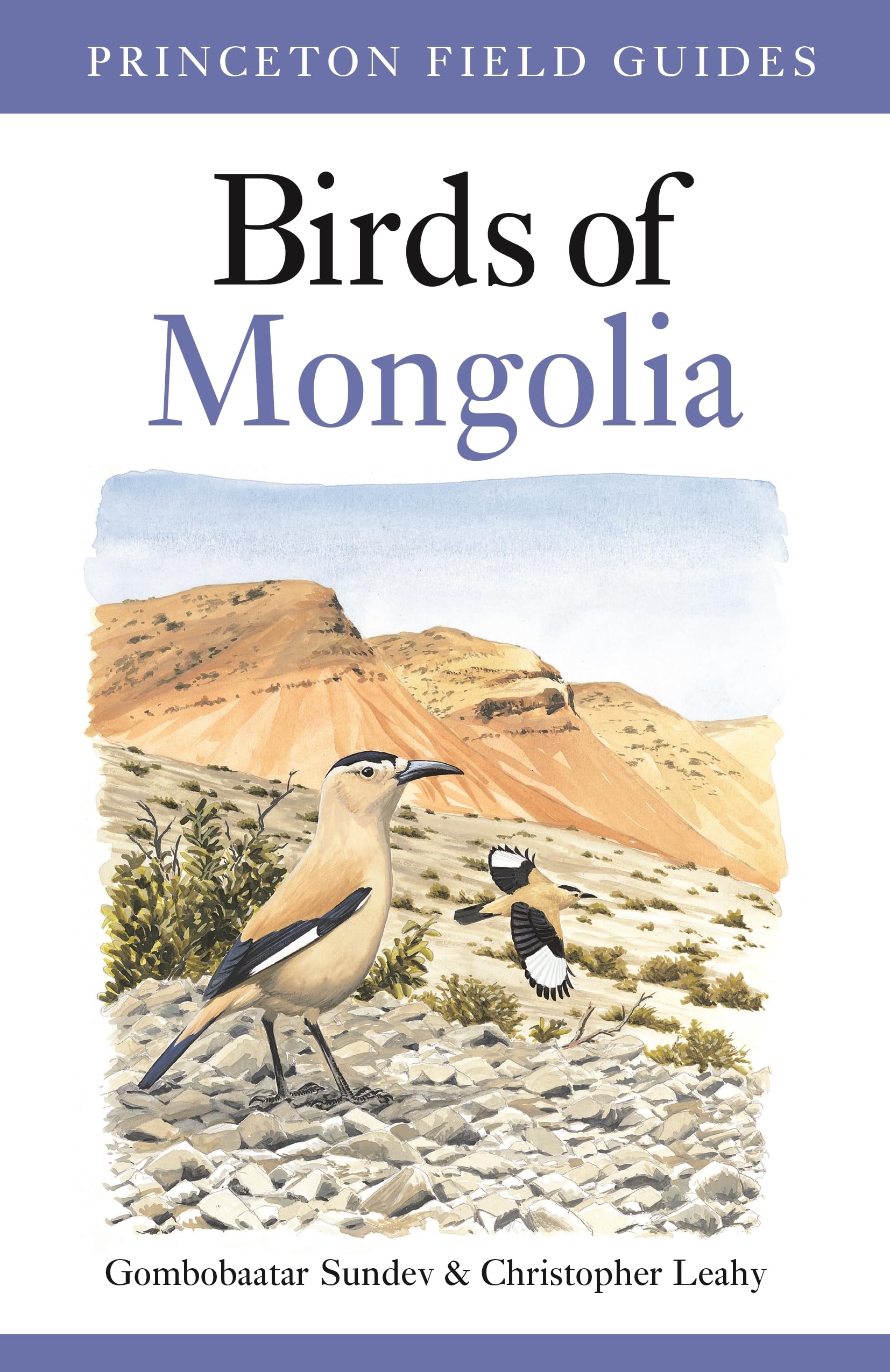 Birds of Mongolia (Princeton Field Guides) Mathematics