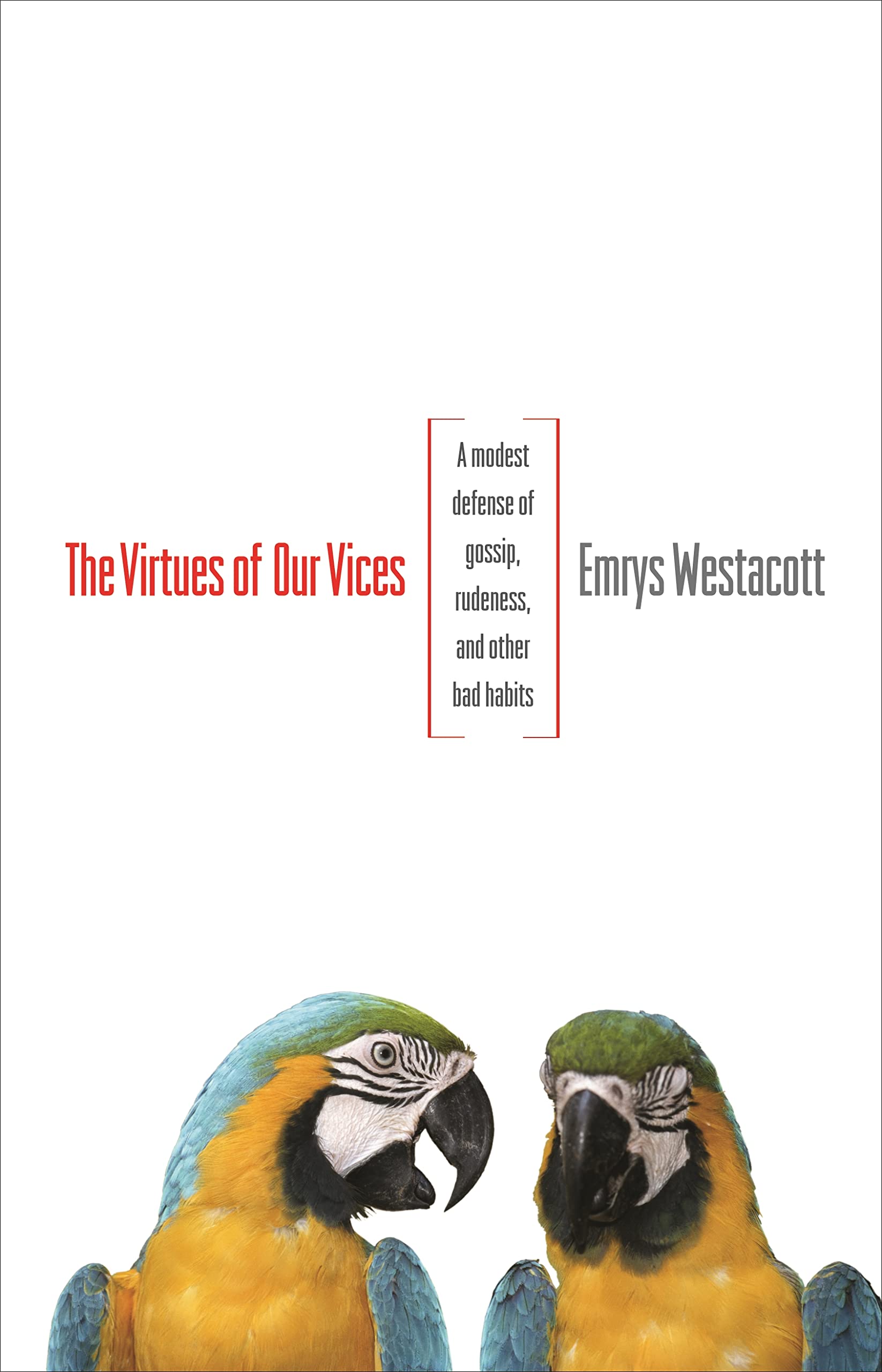 The Virtues of Our Vices: A Modest Defense of Gossip, Rudeness, and Other Bad Habits Philosophy