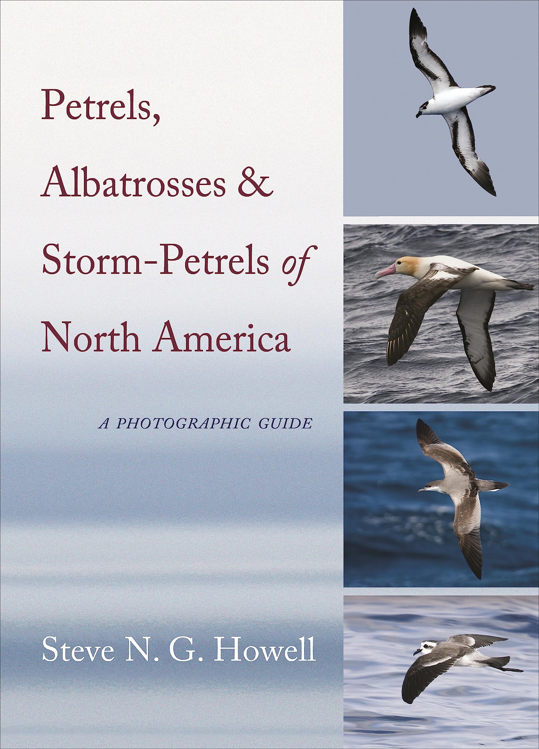 Petrels, Albatrosses, and Storm-Petrels of North America: A Photographic Guide Mathematics