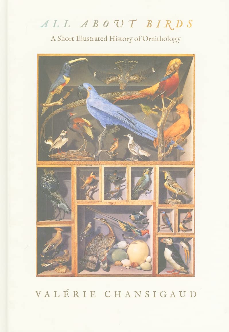 Chansigaud, V: ALL ABT BIRDS Business & Technology