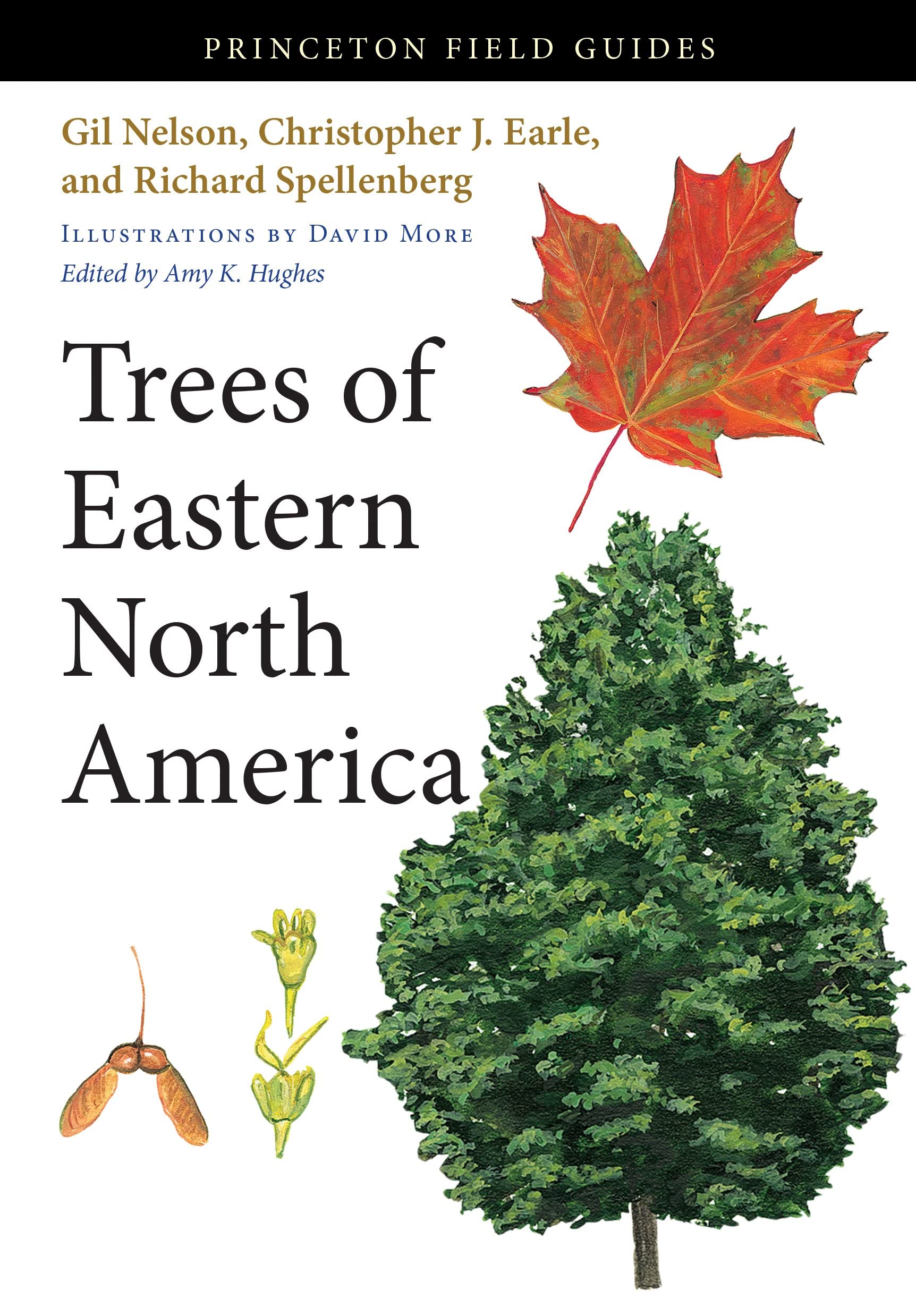 Trees of Eastern North America (Princeton Field Guides) Mathematics