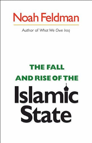 The Fall and Rise of the Islamic State book