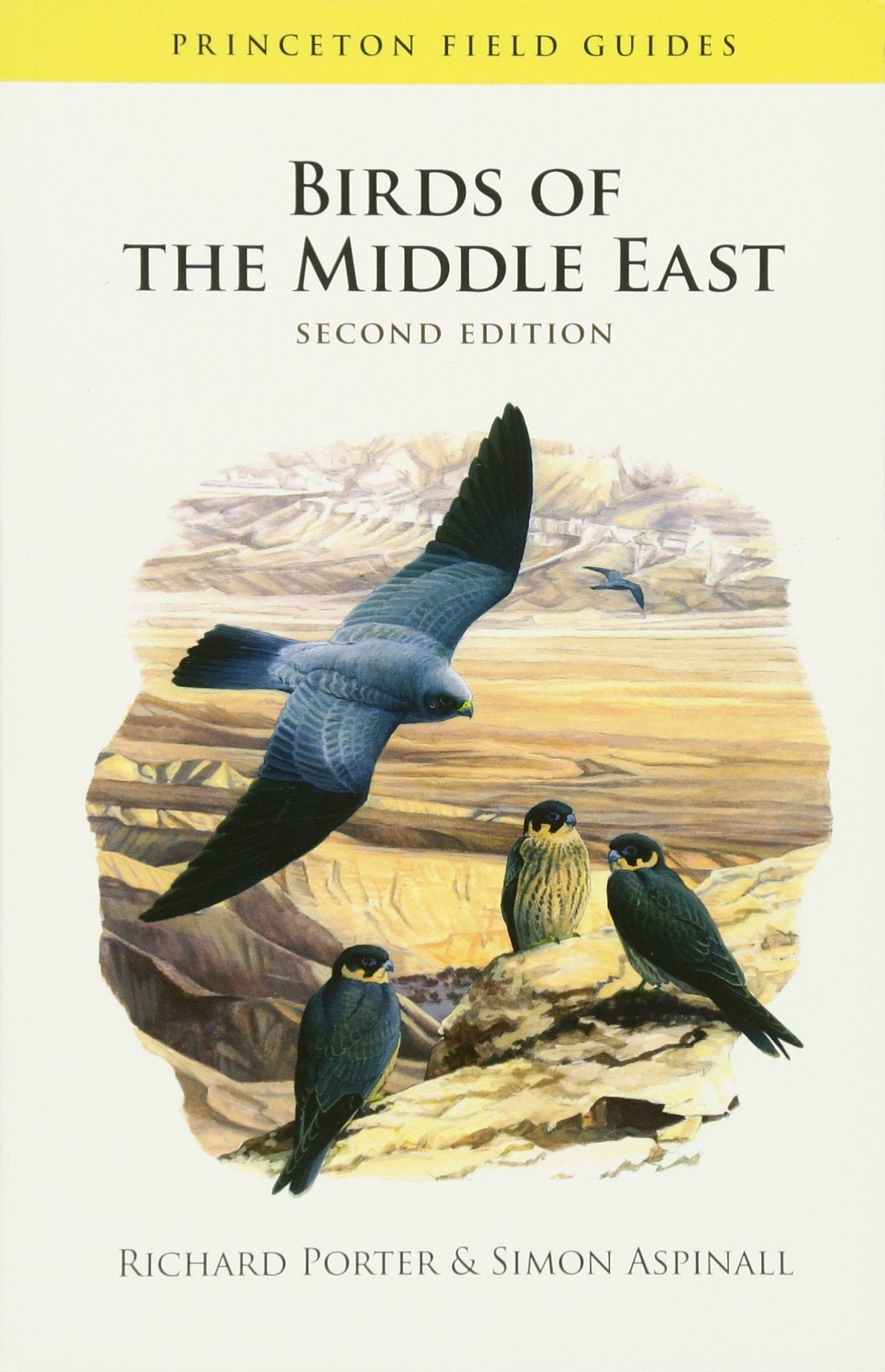 Birds of the Middle East (Princeton Field Guides) Leisure, Home & Garden