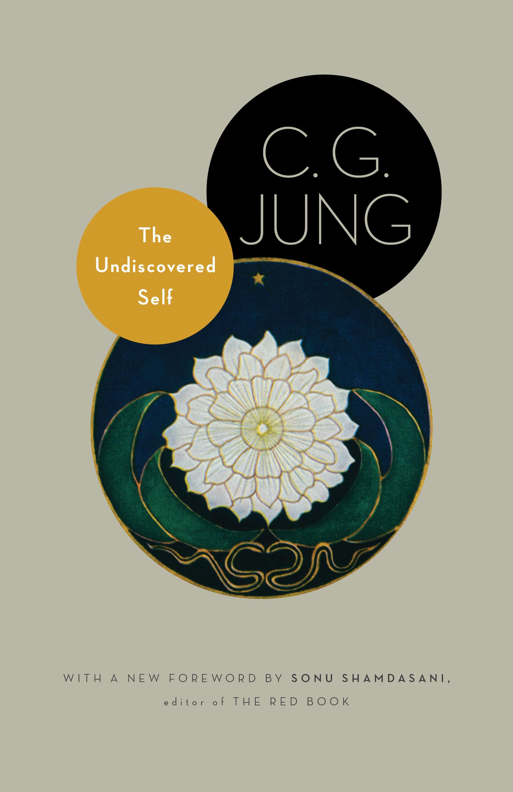 The Undiscovered Self Psychology