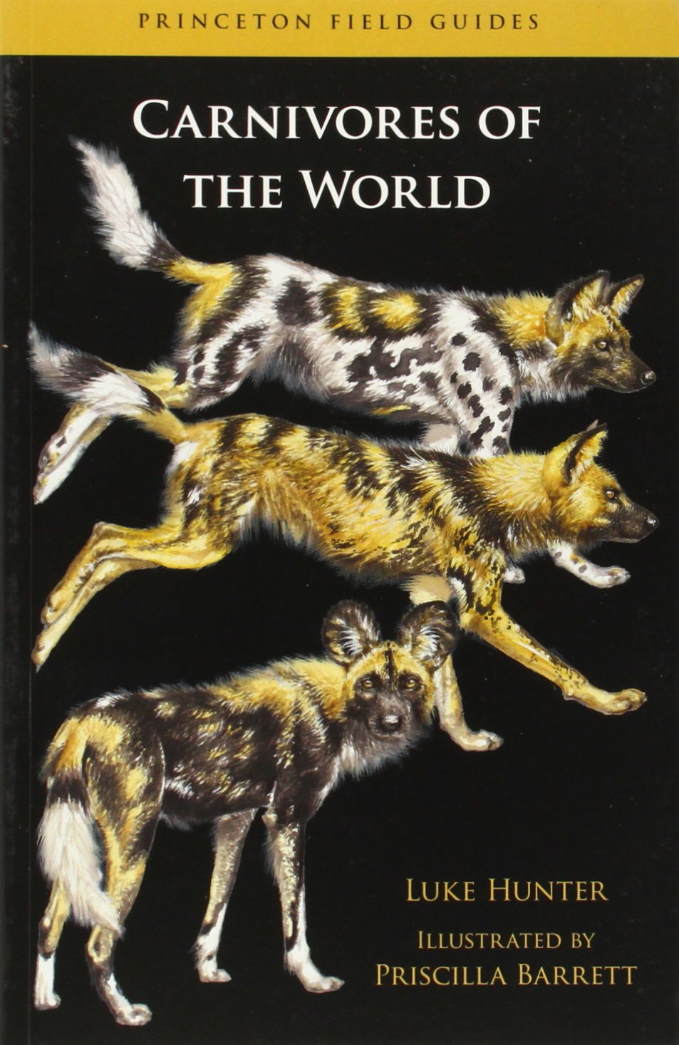 Carnivores of The World (Princeton Field Guides) Mathematics