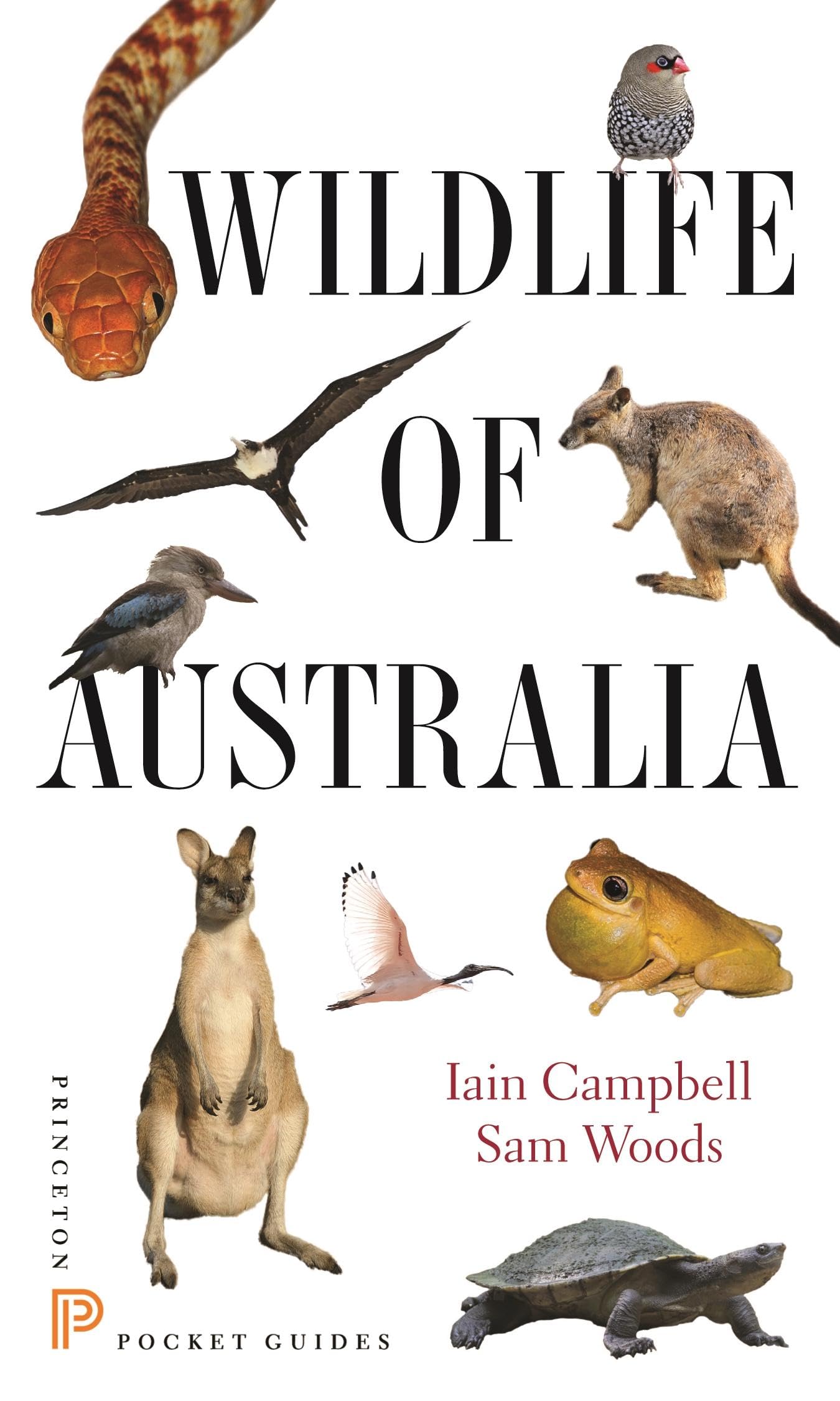 Wildlife of Australia Mathematics