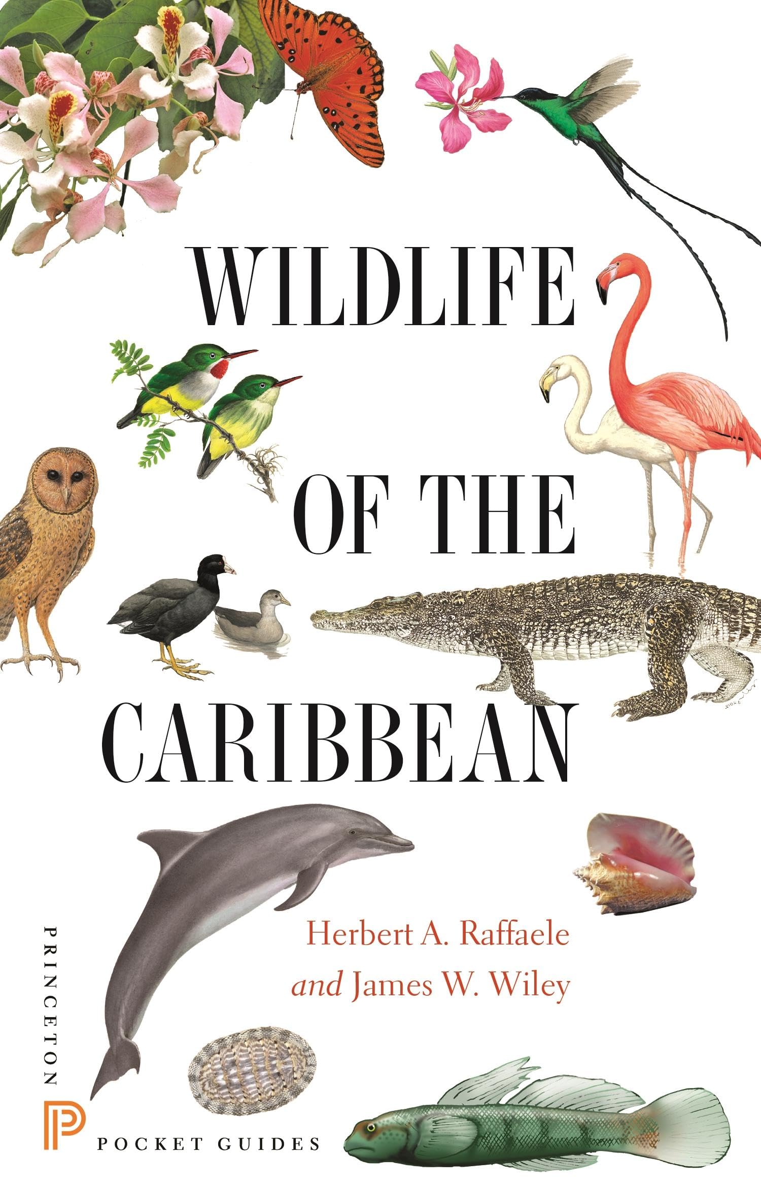 Wildlife of the Caribbean book