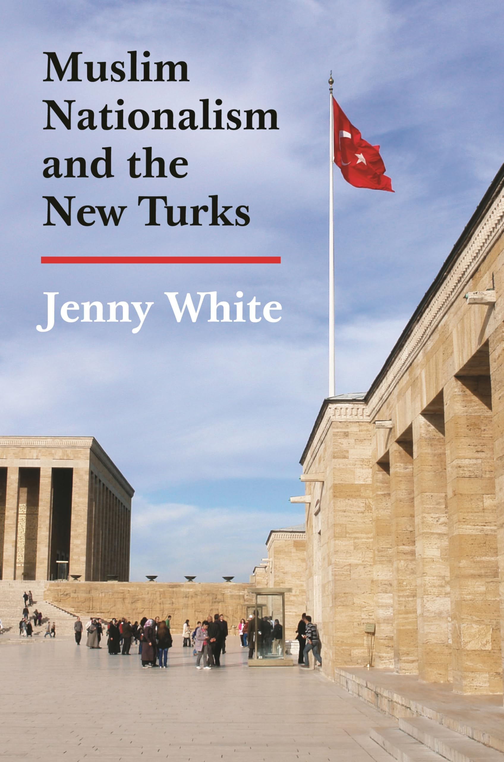 Muslim Nationalism and the New Turks (Princeton Studies in Muslim Politics) Religion & Esotericism